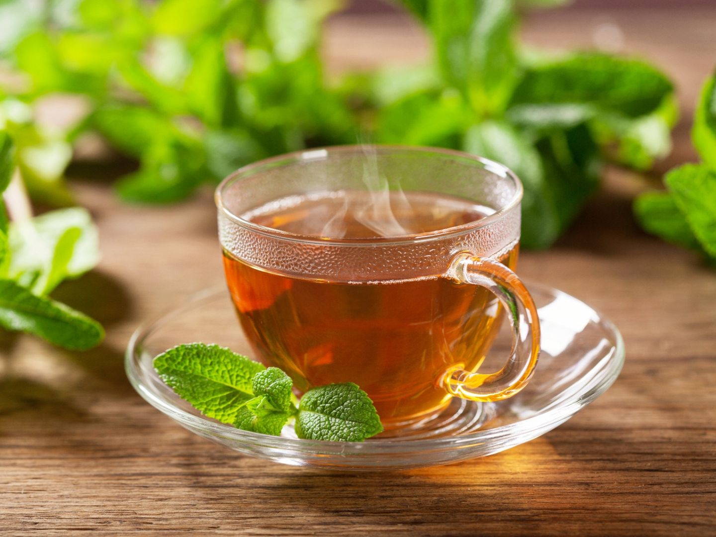 Morocco Lemon