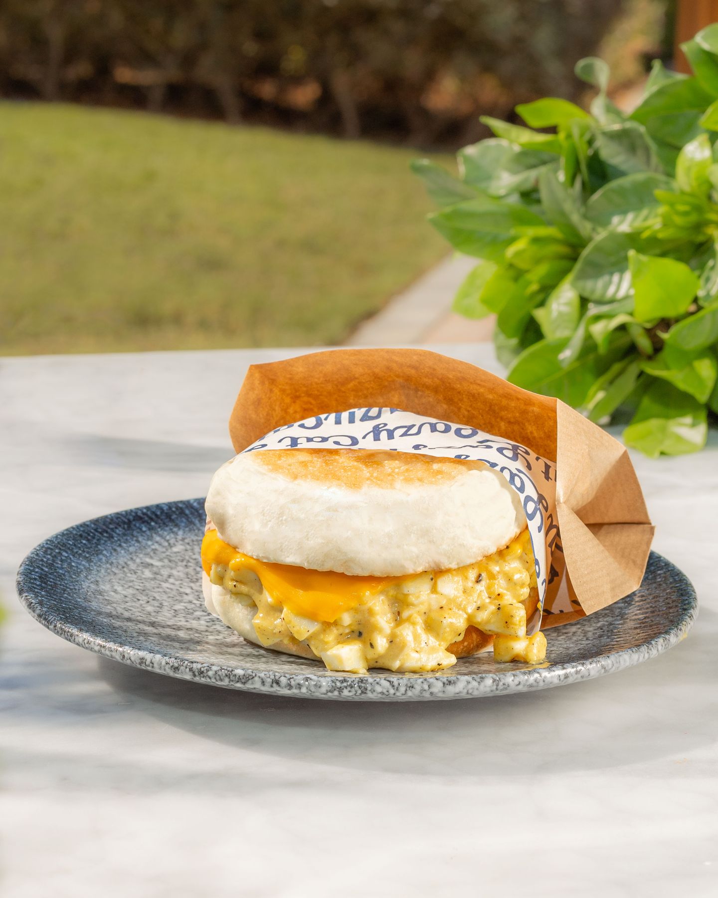 Dreamy Eggs