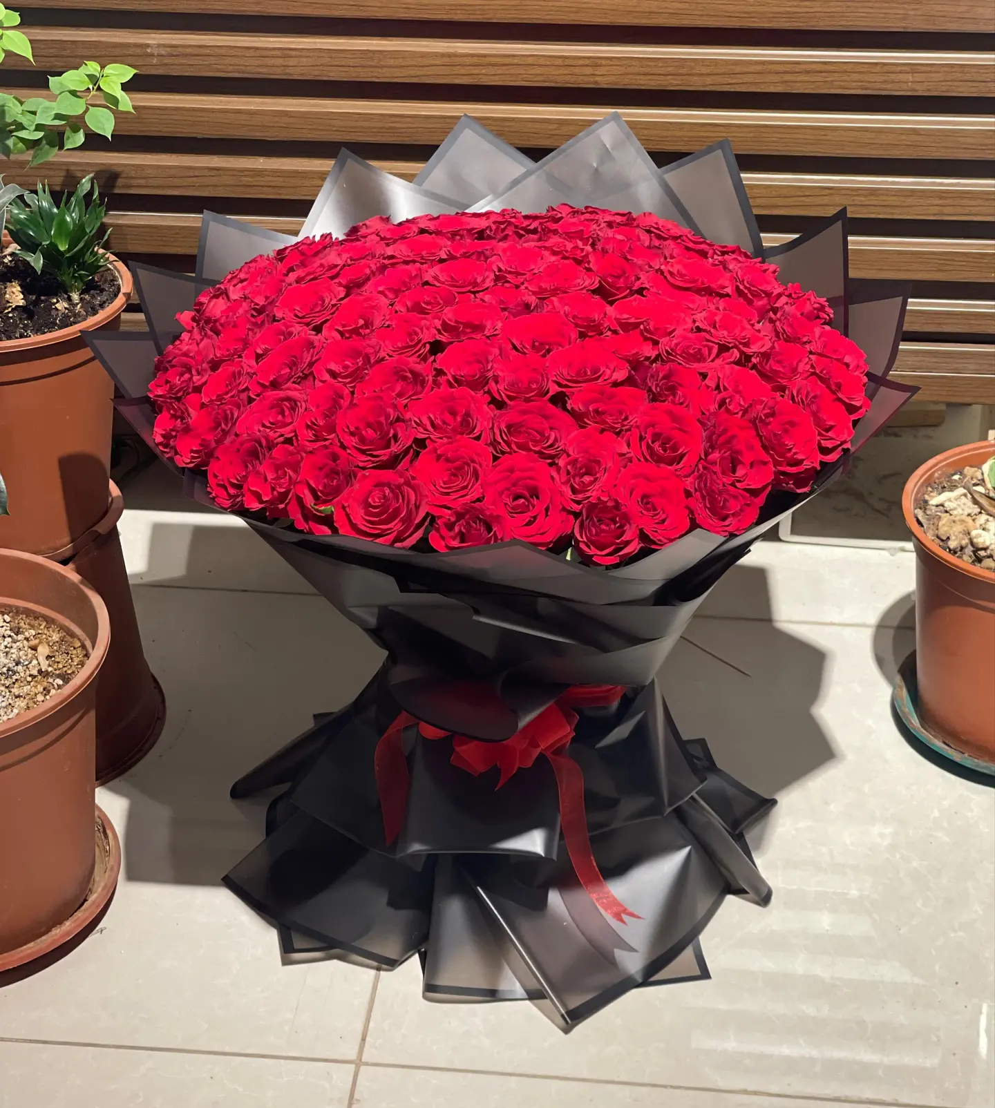 باقة اشراقة