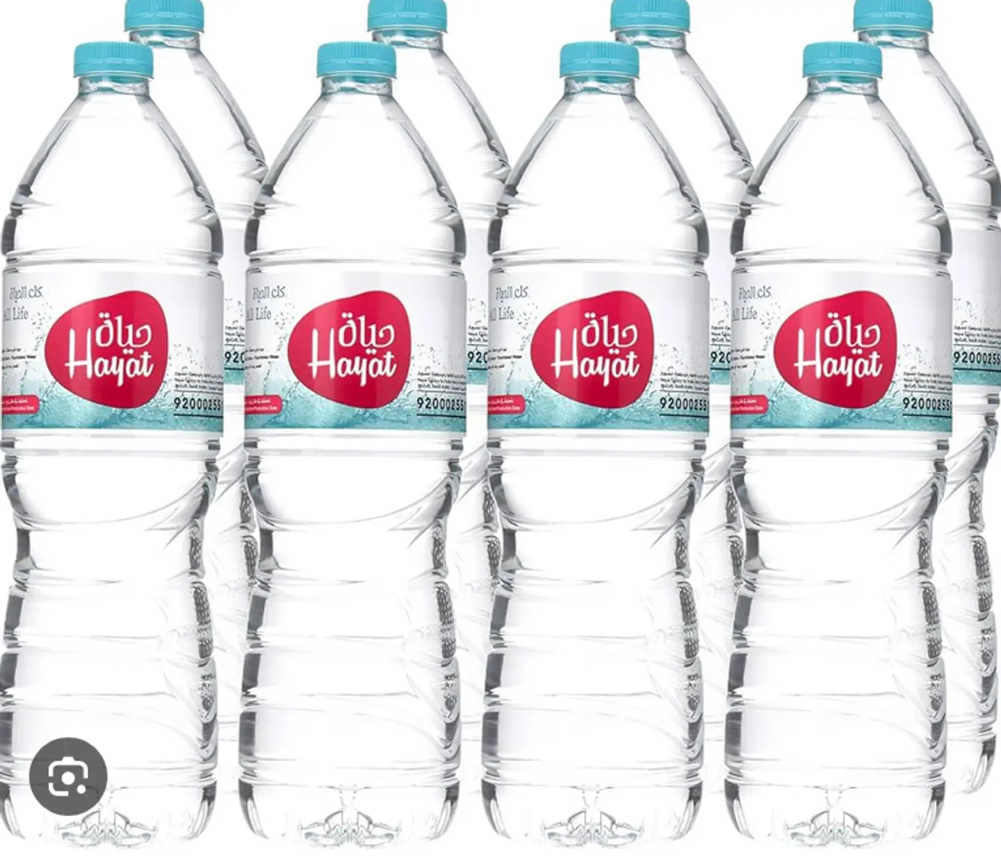 Hayat Bottled Drinking Water, 30 × 600ml