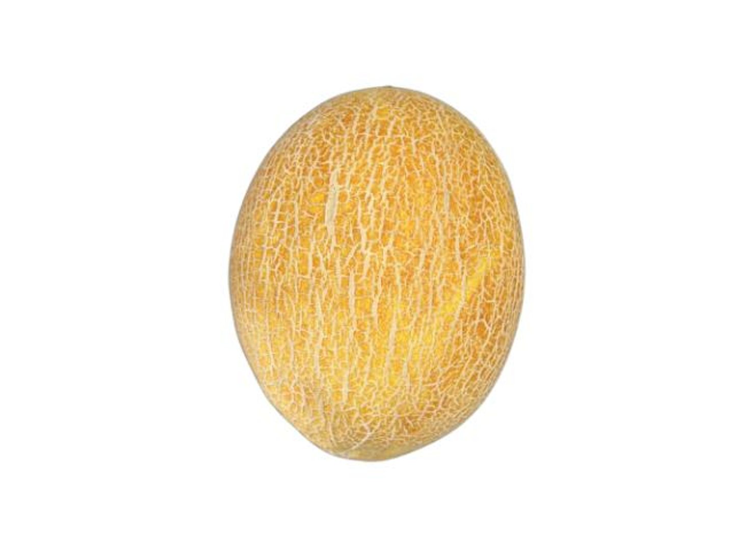 Melon Kilo