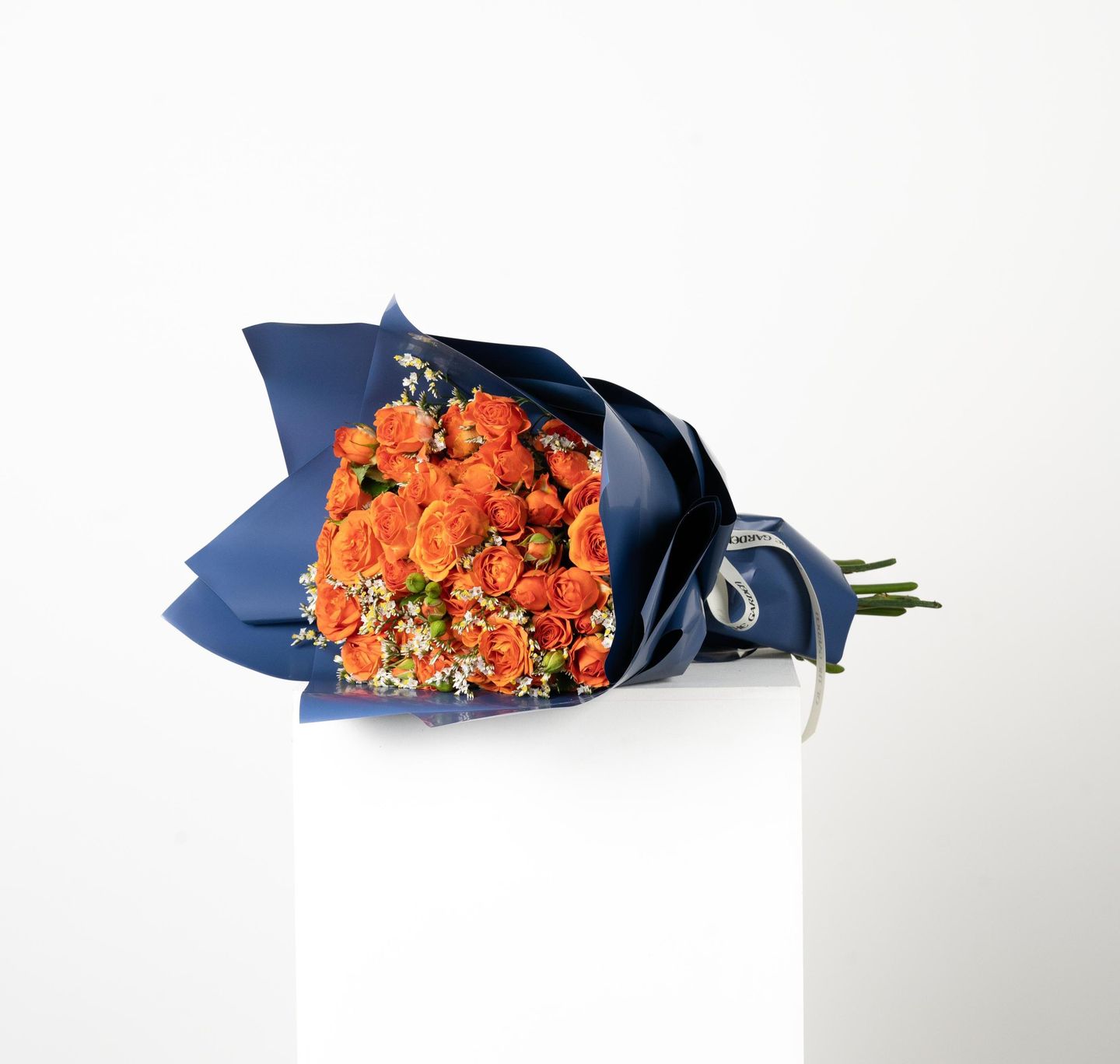 Baby Rose Orange