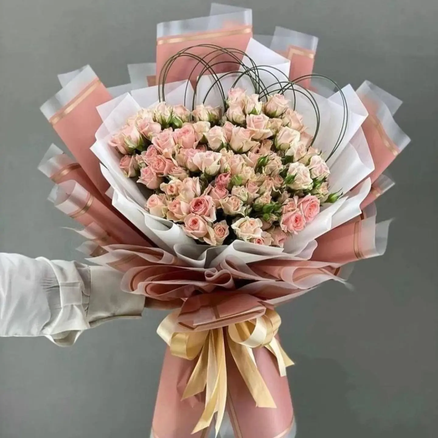 بوكية أبيك دنيا تلمّني من أتعابي أبيك عمر يغنيني عن الدنيا