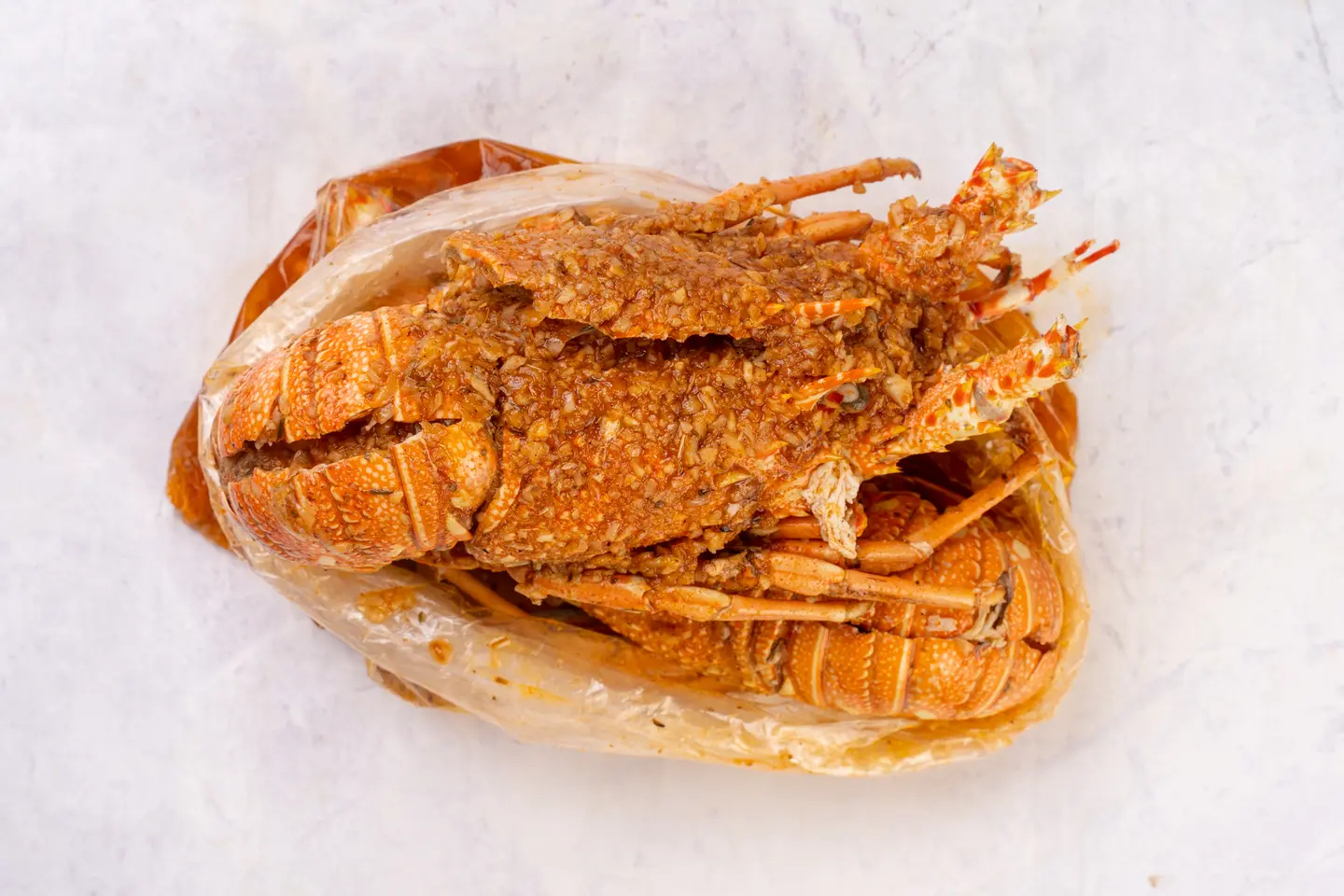 Lobster