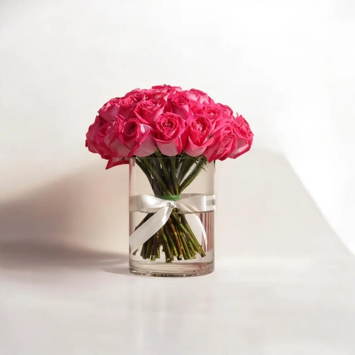 الجوري الفوشيا النابضة