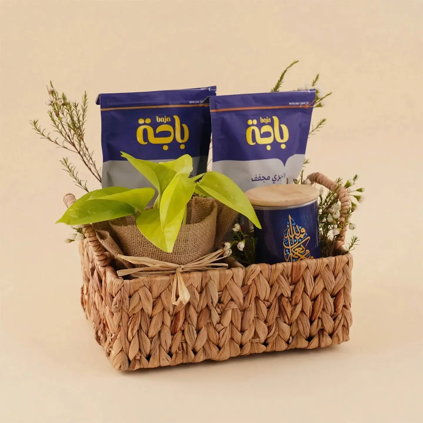 A Basket Of Dried Fruit And A Pothos Plant