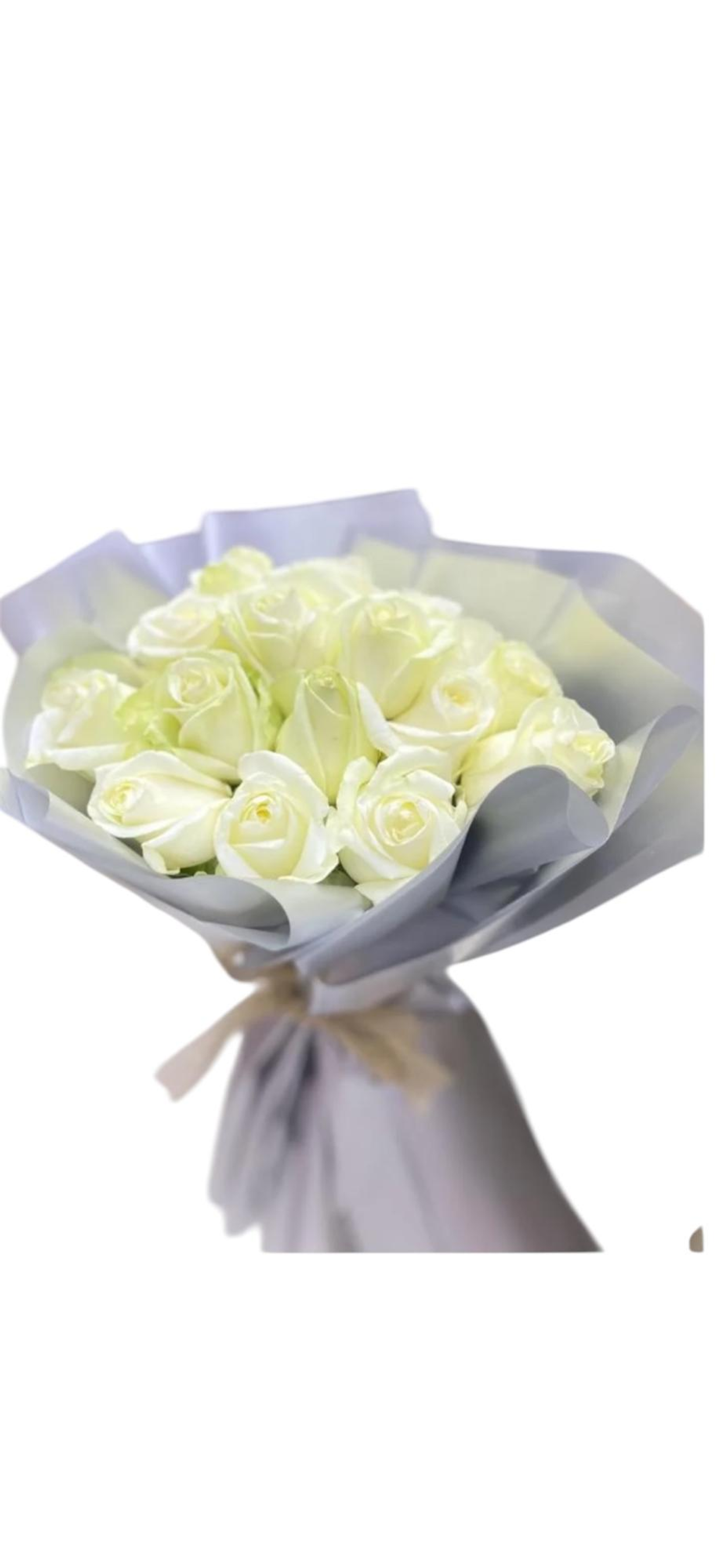 ورد جوري باقه نقاء