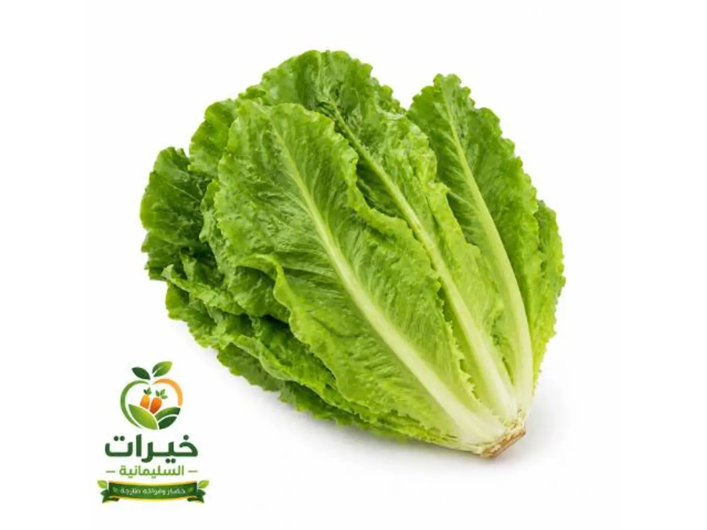 Bundle Of Lettuce
