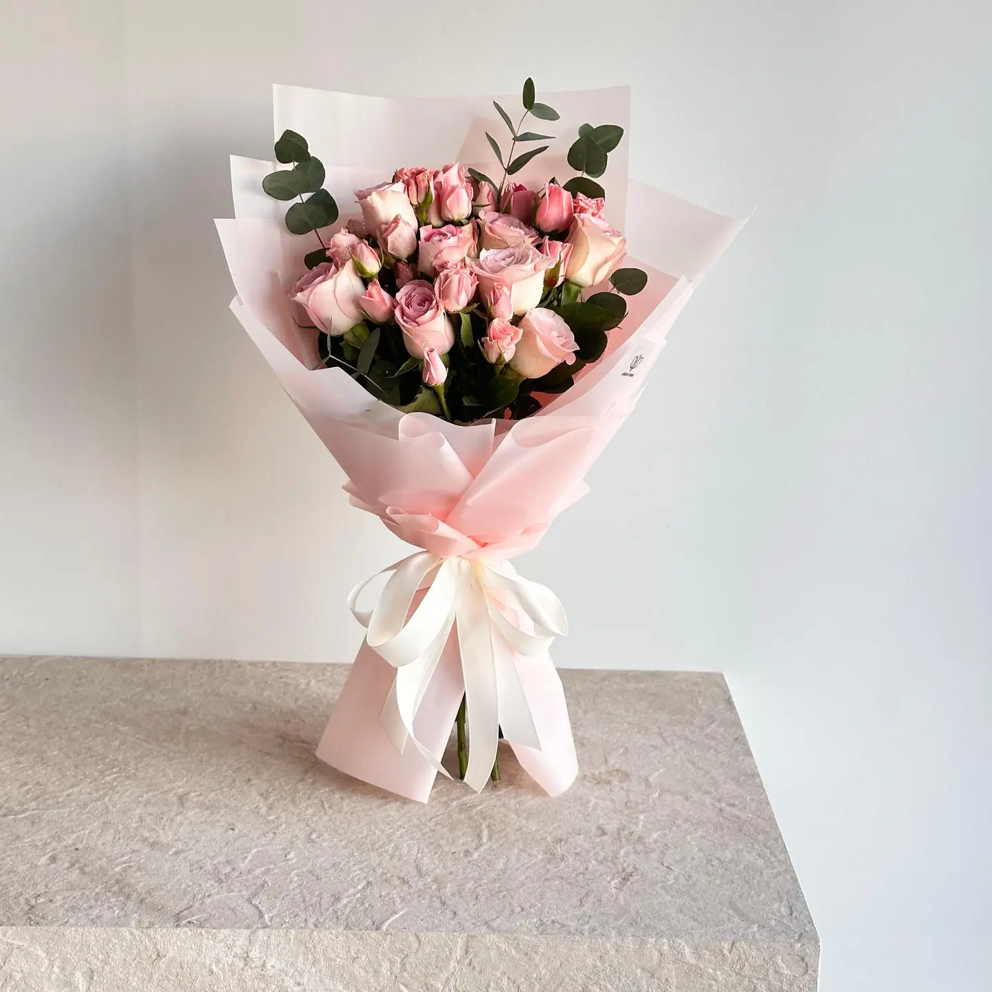 الحمد لله على السلامه17