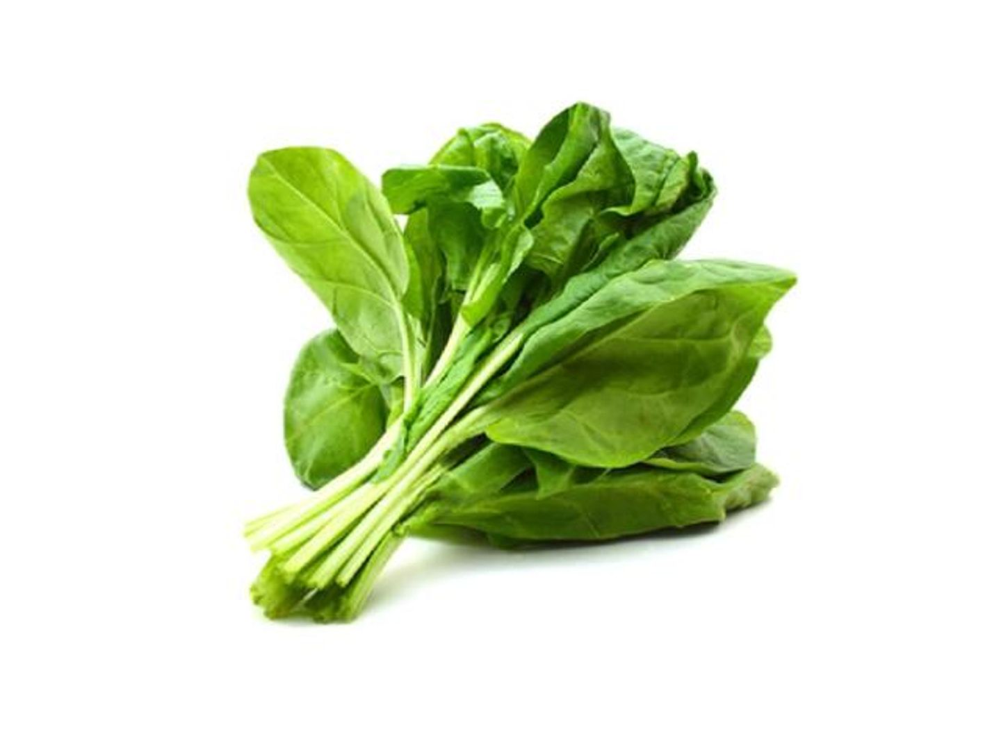 سبانخ