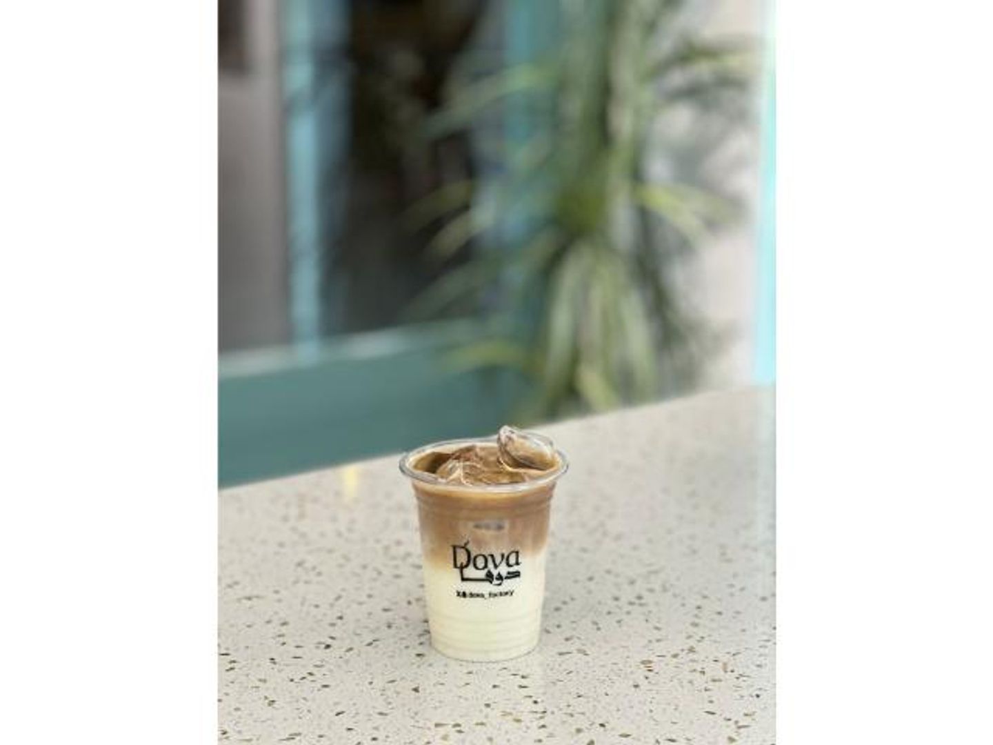 Iced Spanish Latte