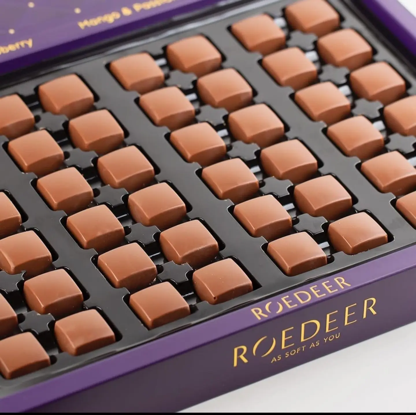 رودير رويال شوكلت كبير