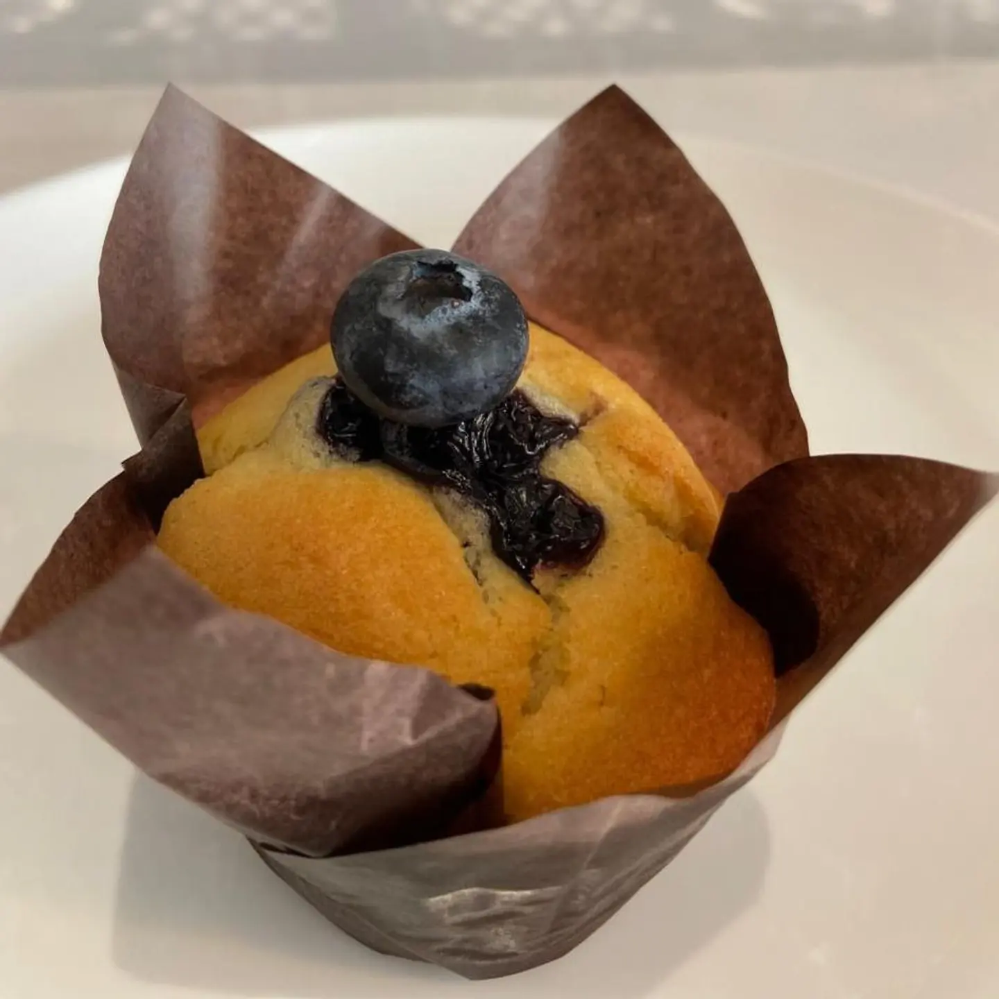 Blueberry Muffins