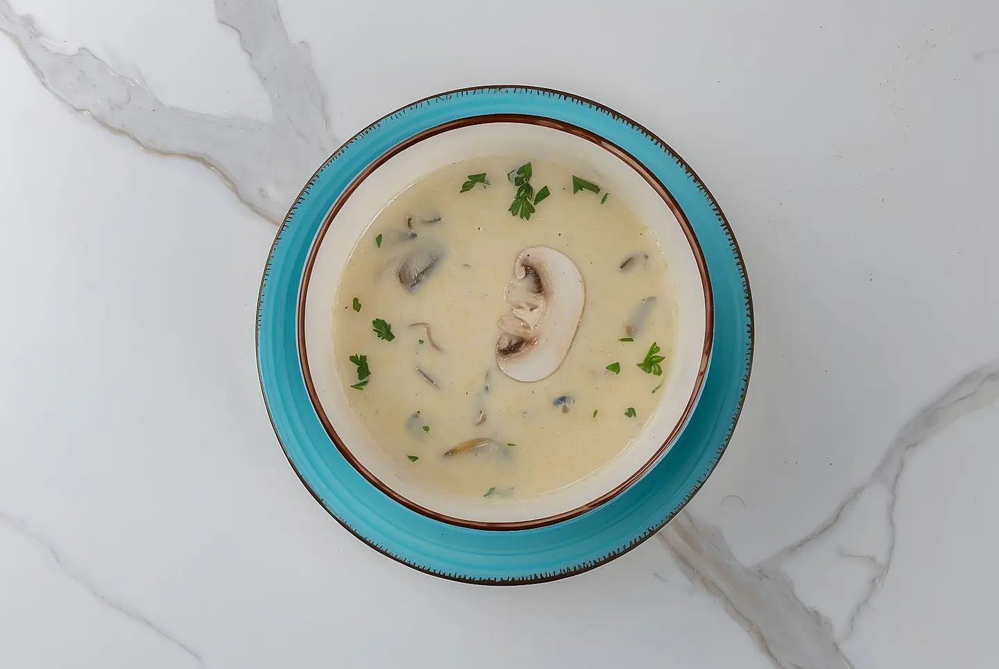 Chicken Mushroom Soup