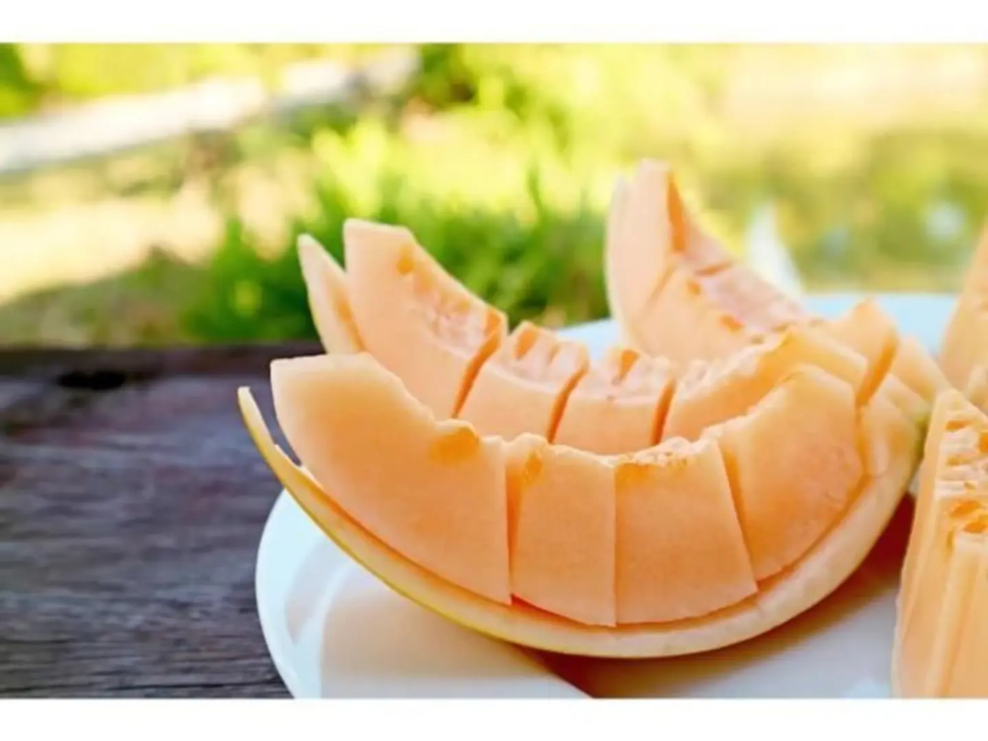Melon Plate