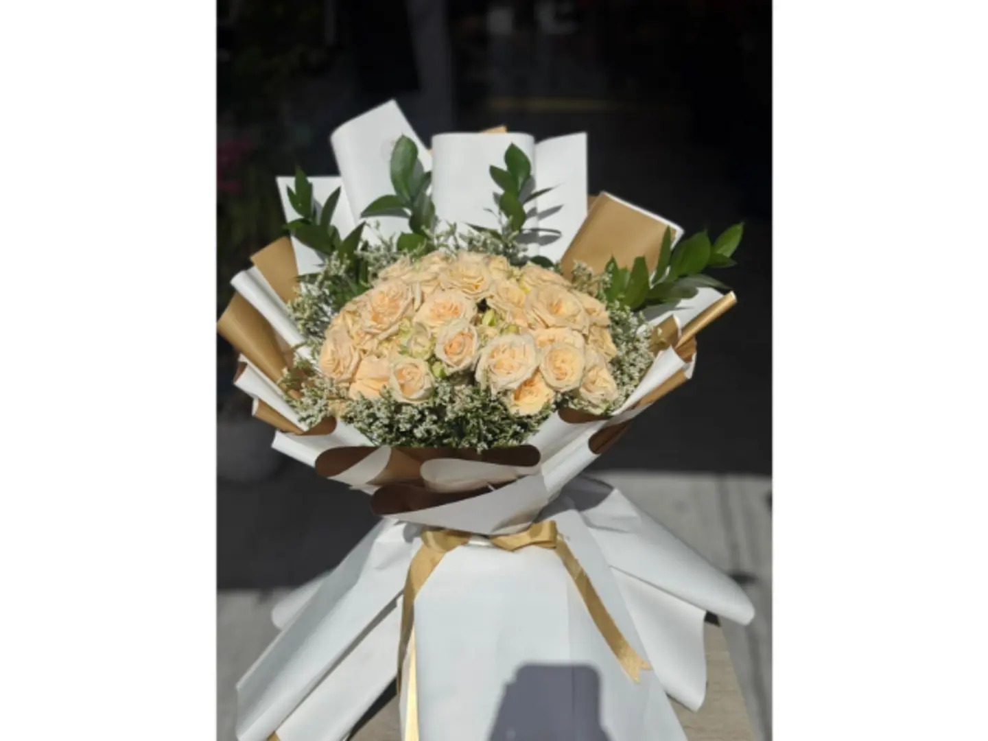 أحلام المحيط