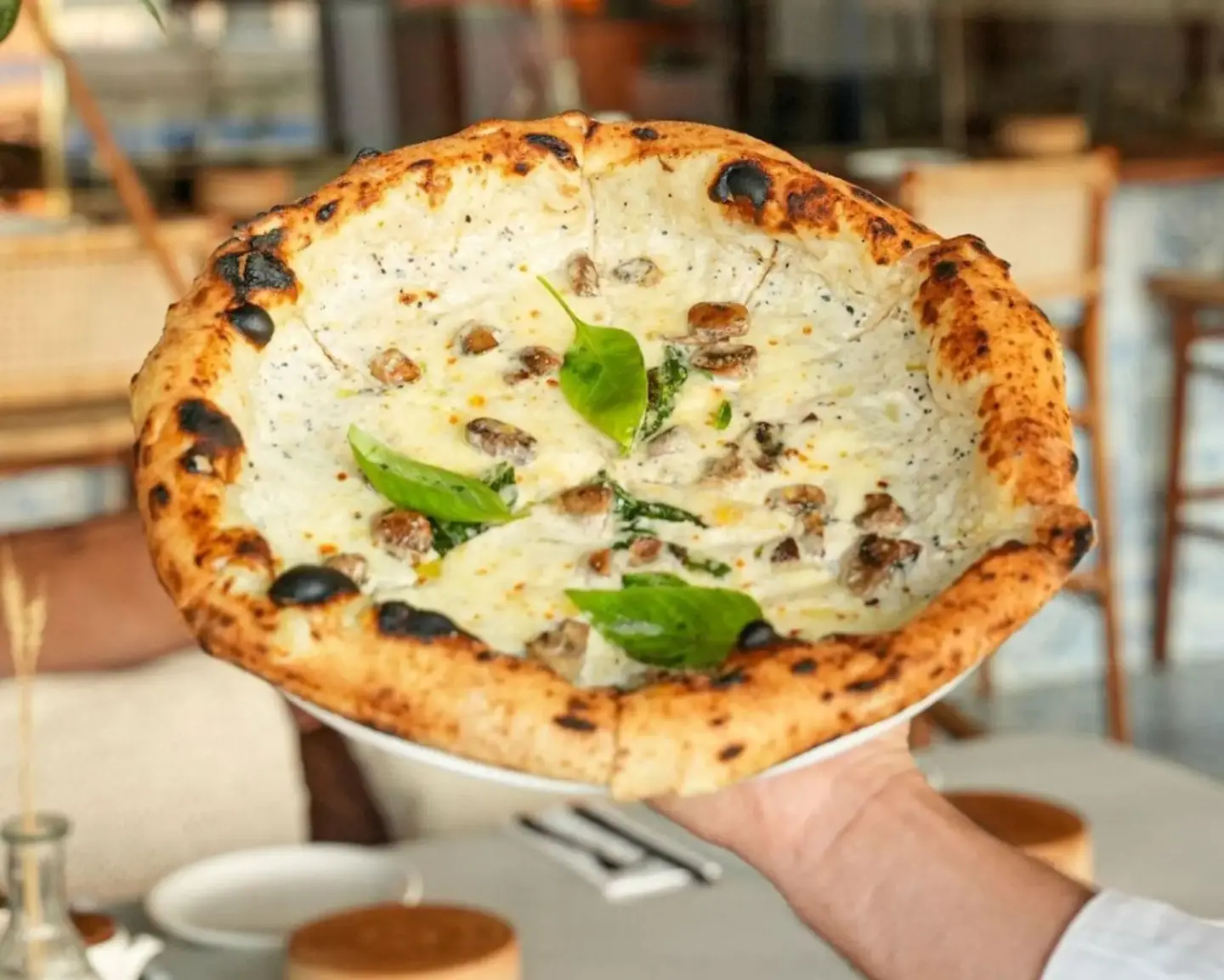 Truffle Pizza