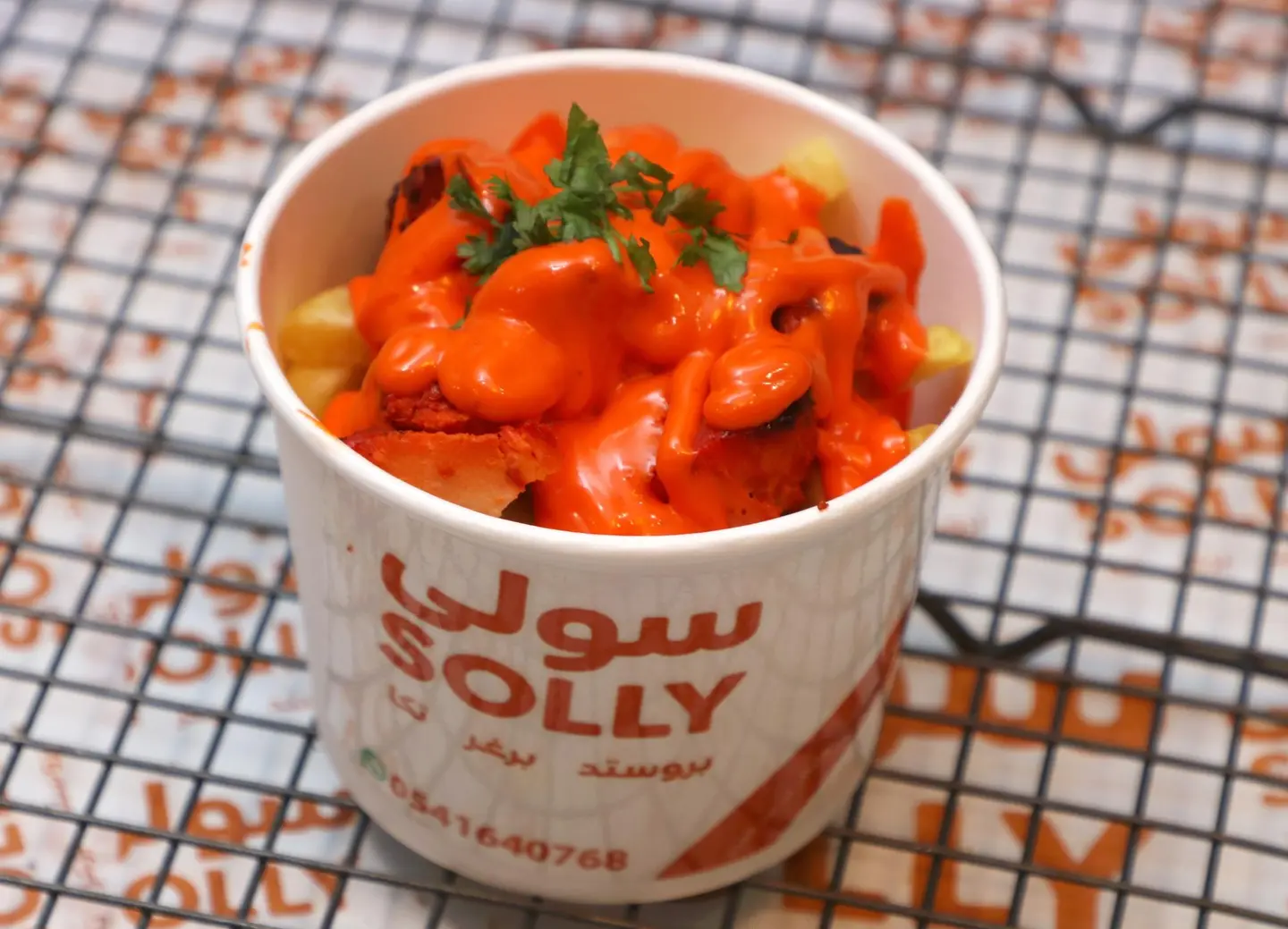 Tikka Fries