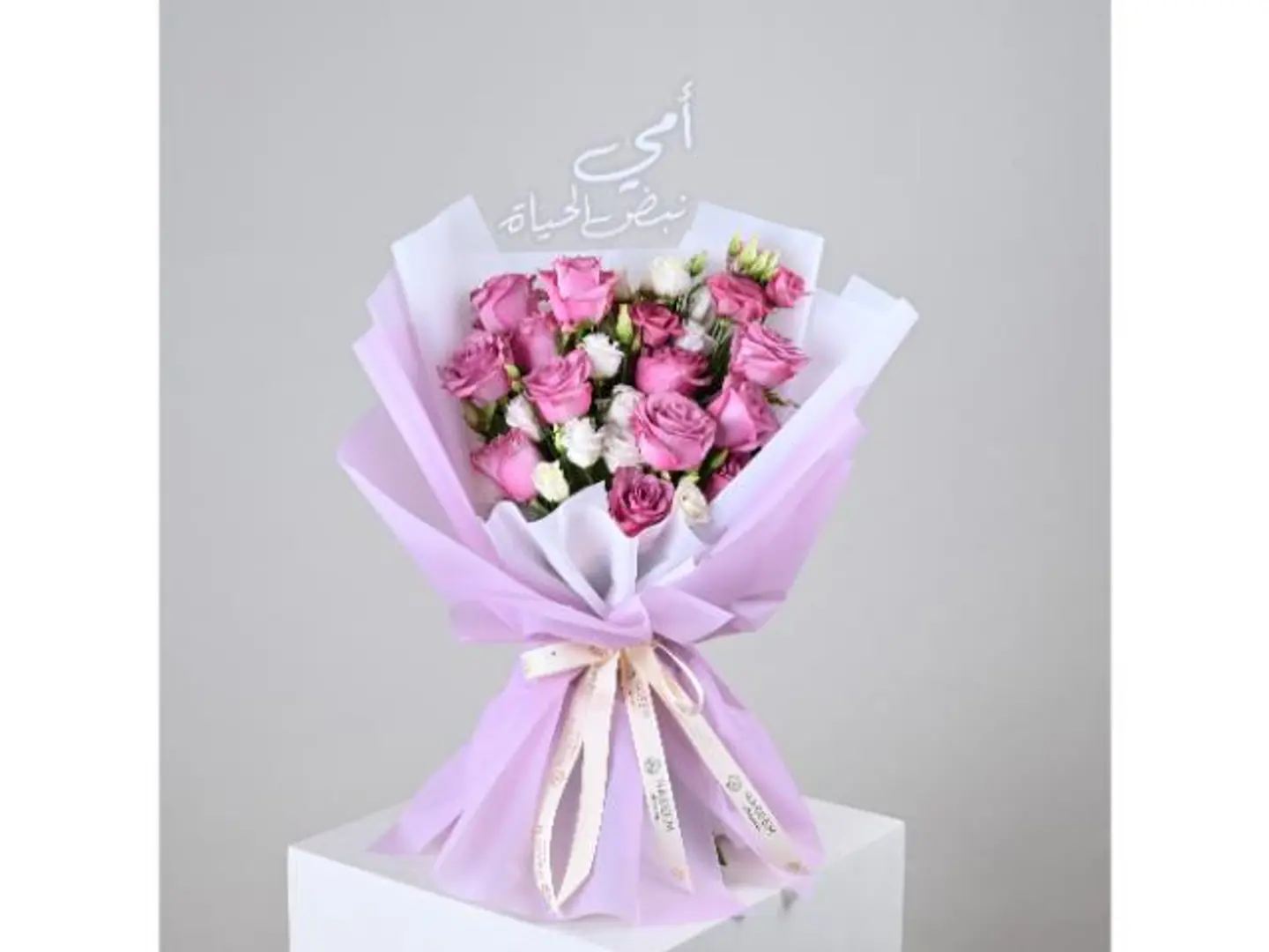 انتي الأمان