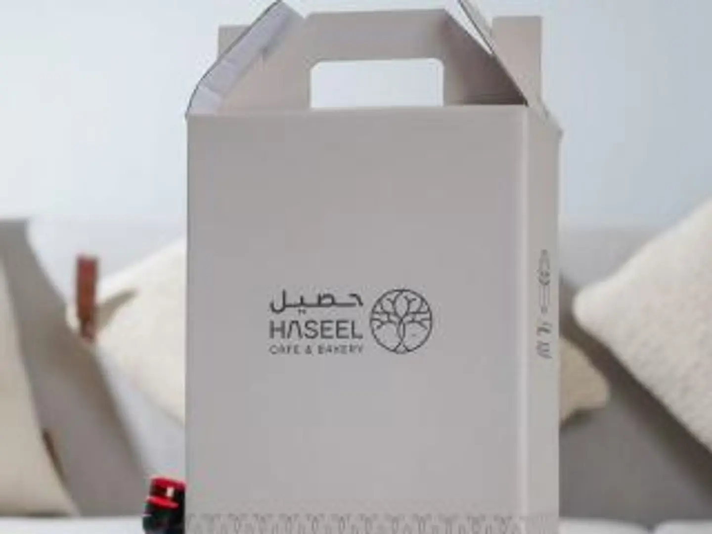 بوكس قهوة اليوم