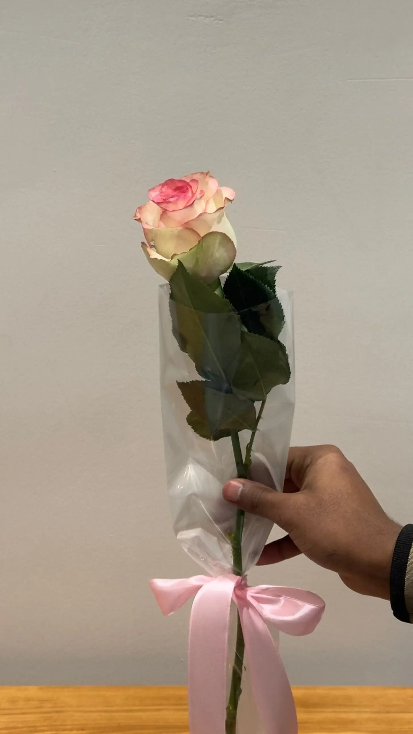 حبة جوري فردية وردي