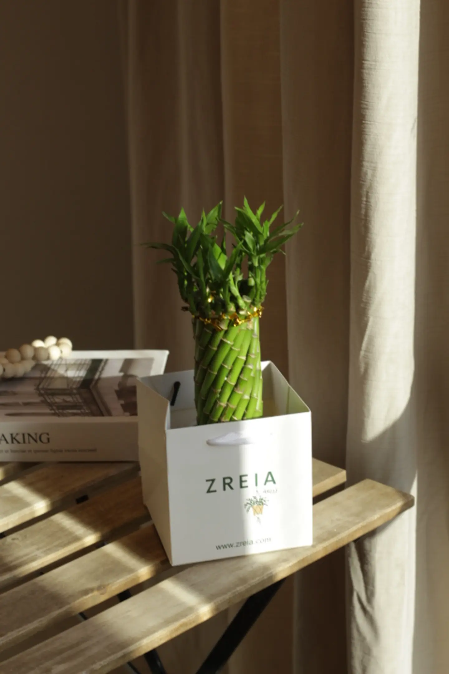 بامبو مجدول مجهز في باكج زريعة أبيض 12 سم