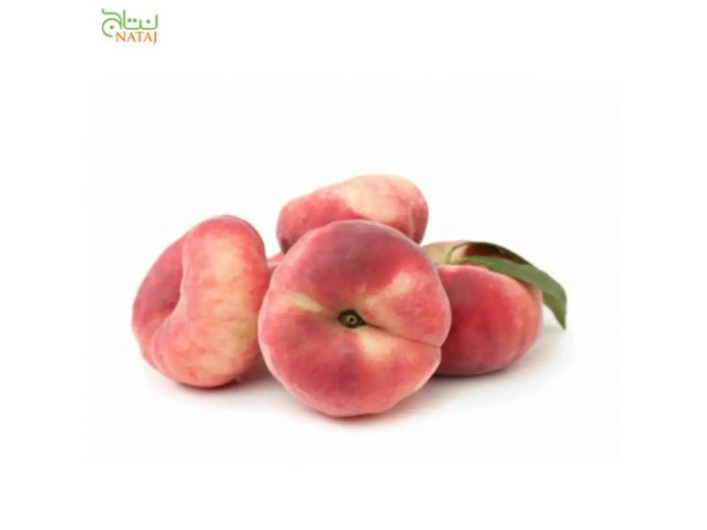 كعب الغزال علبة