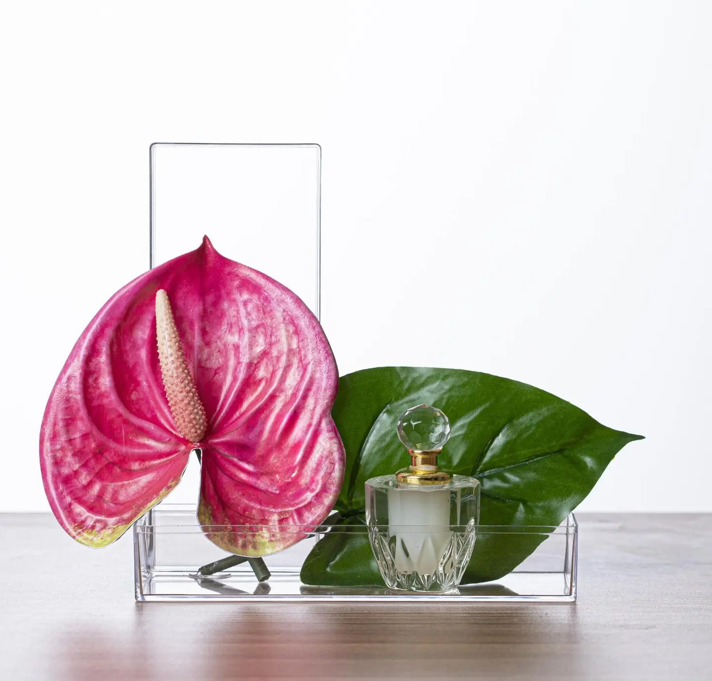 Fuchsia Flamingo Flower With Musk