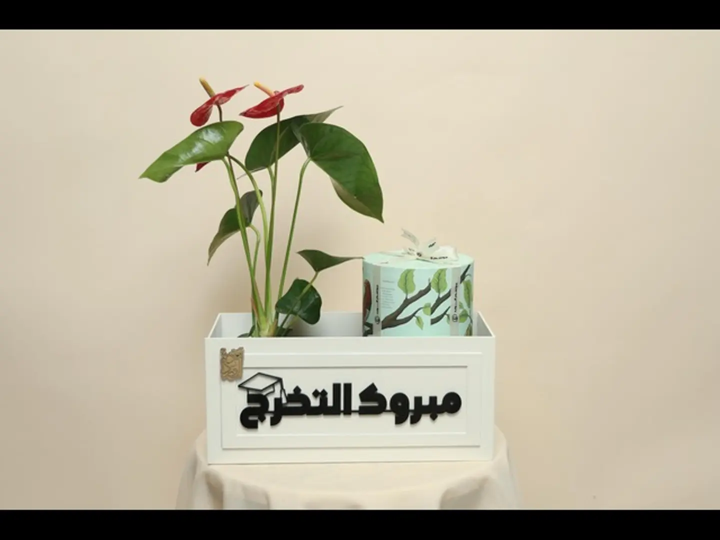 بوكس تخرج 1