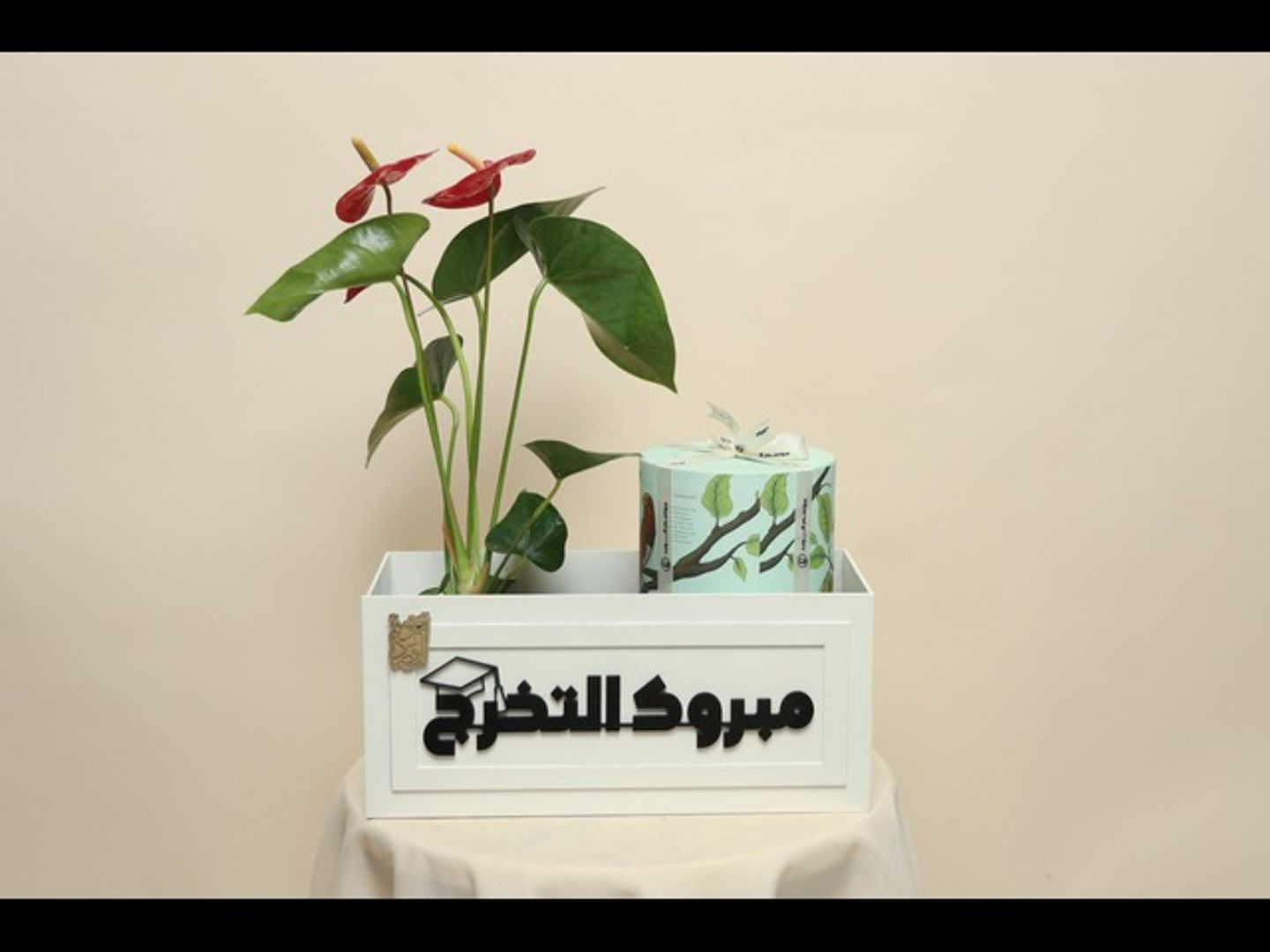 بوكس تخرج 1