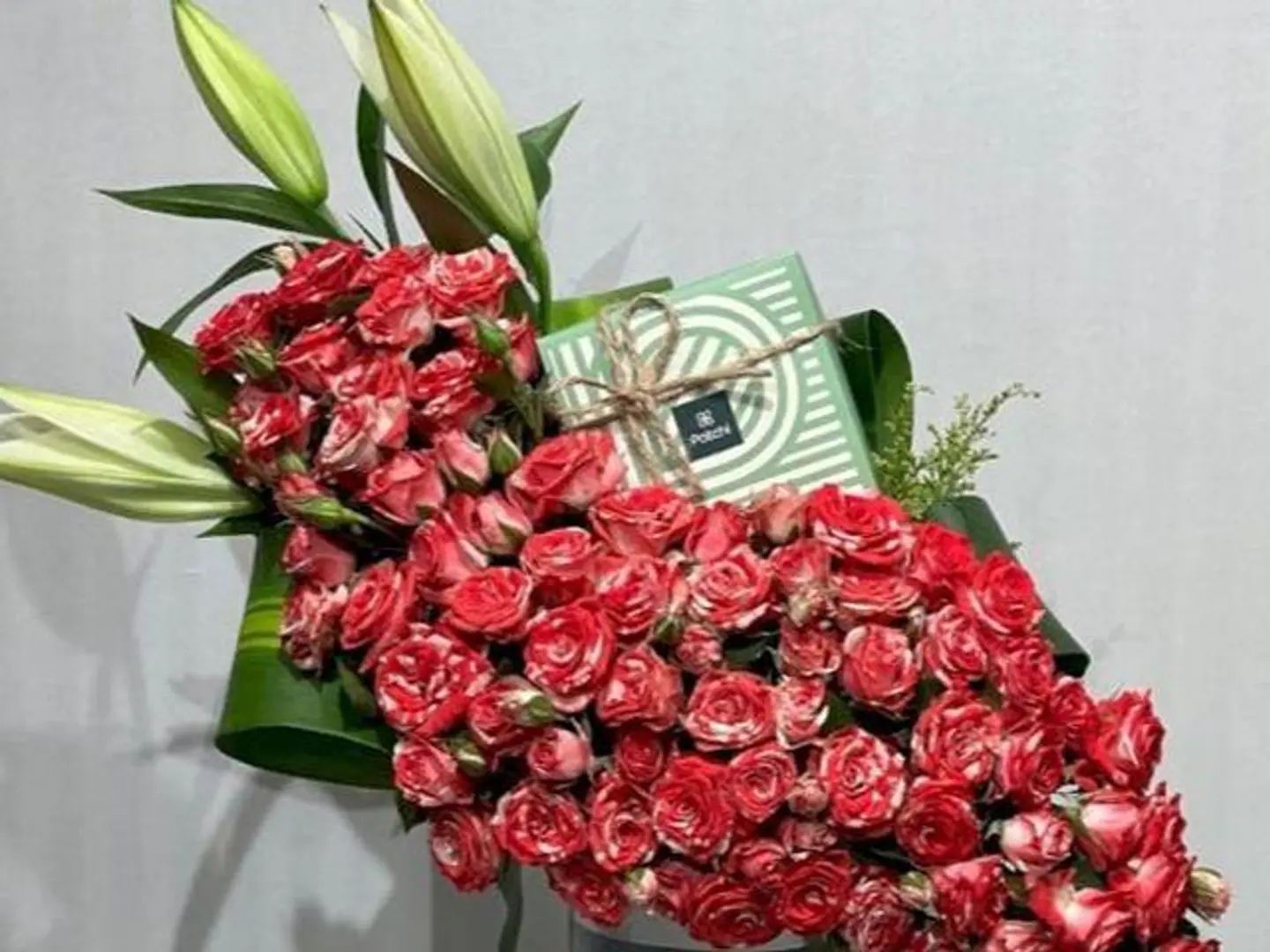 فازة السلامة معا شكولاتة باتشي