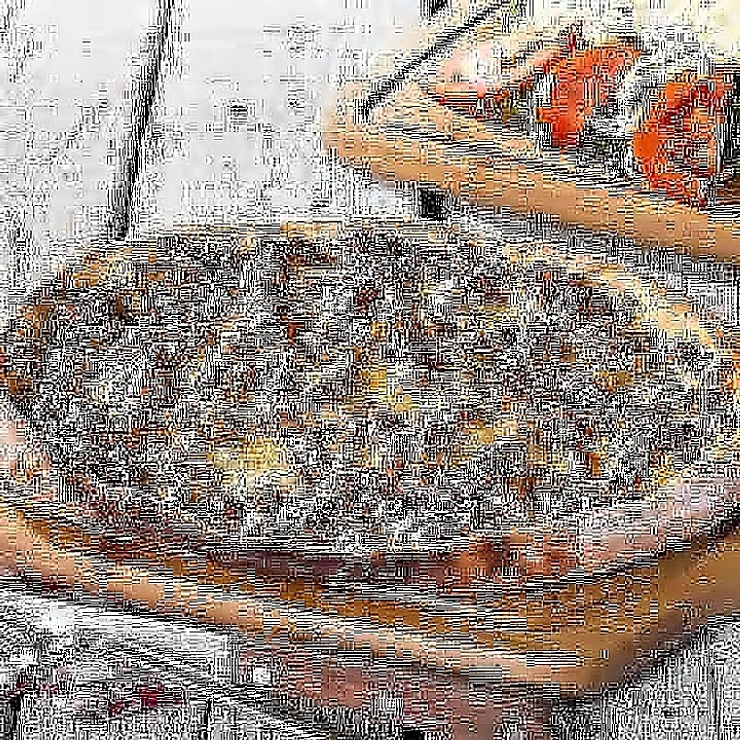 Mixed Pie