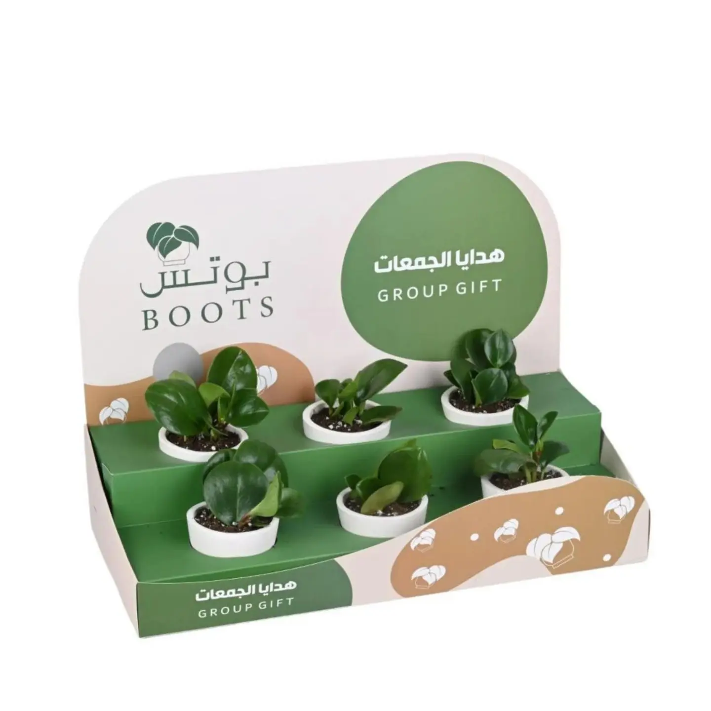 توزيعات كوب زراعة البذور