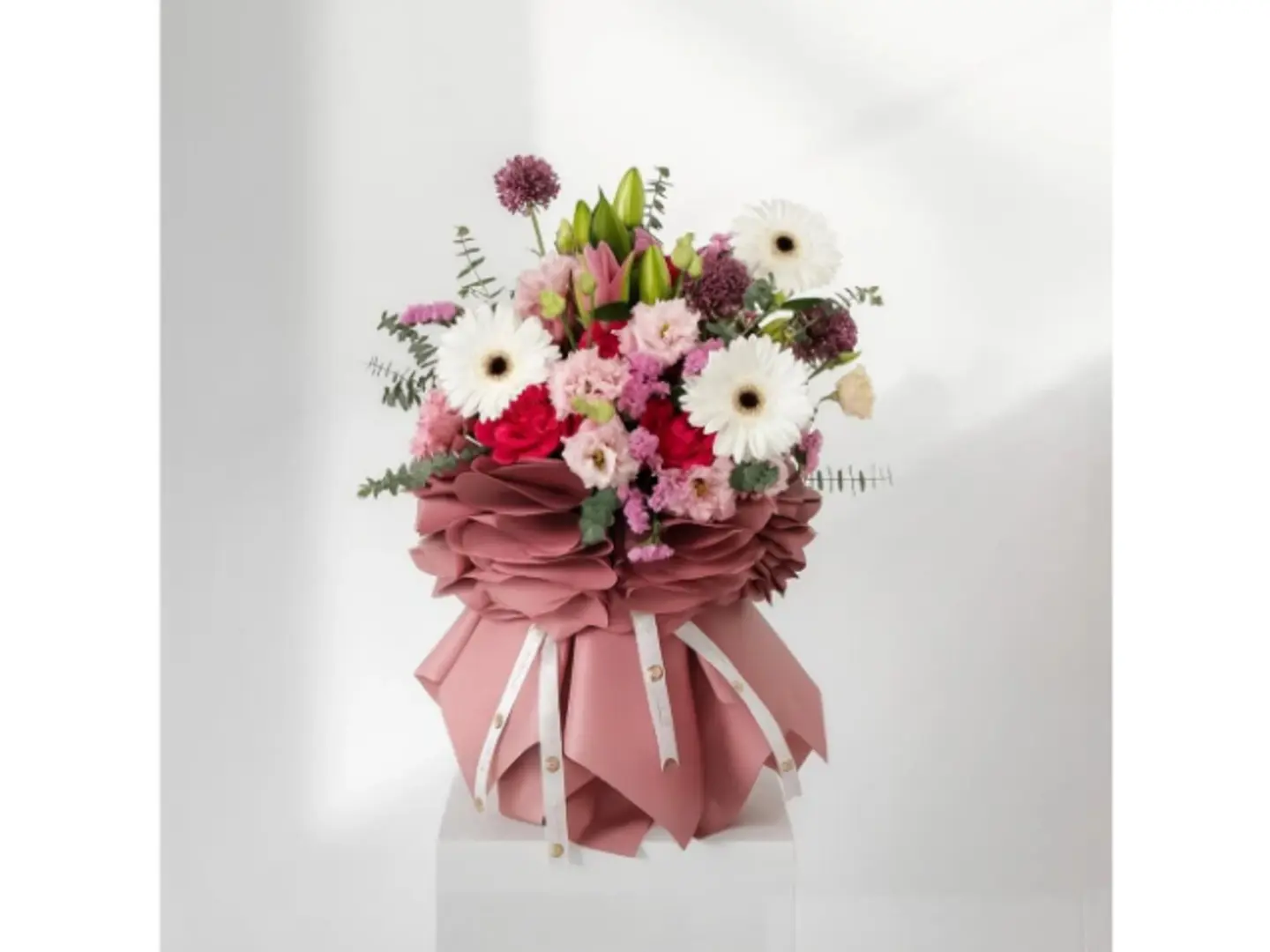 بوكي الجمال الجديد