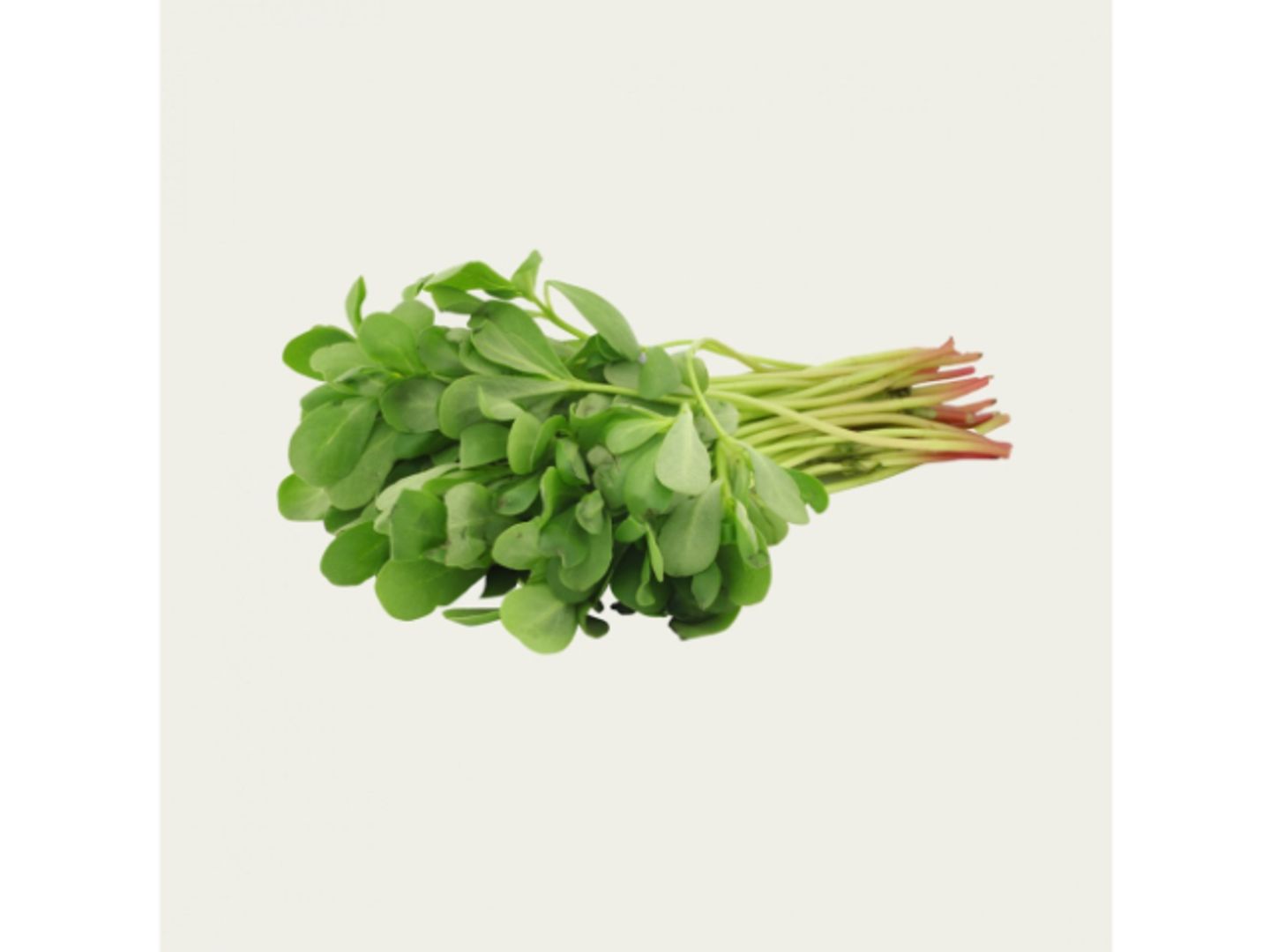 رجلة