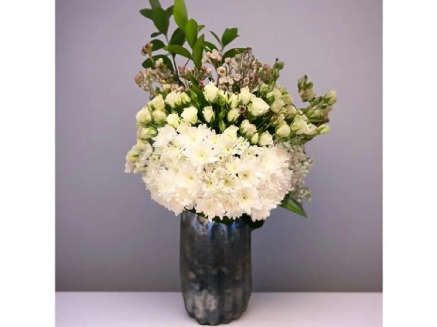 فازه ورد سنو بلوم