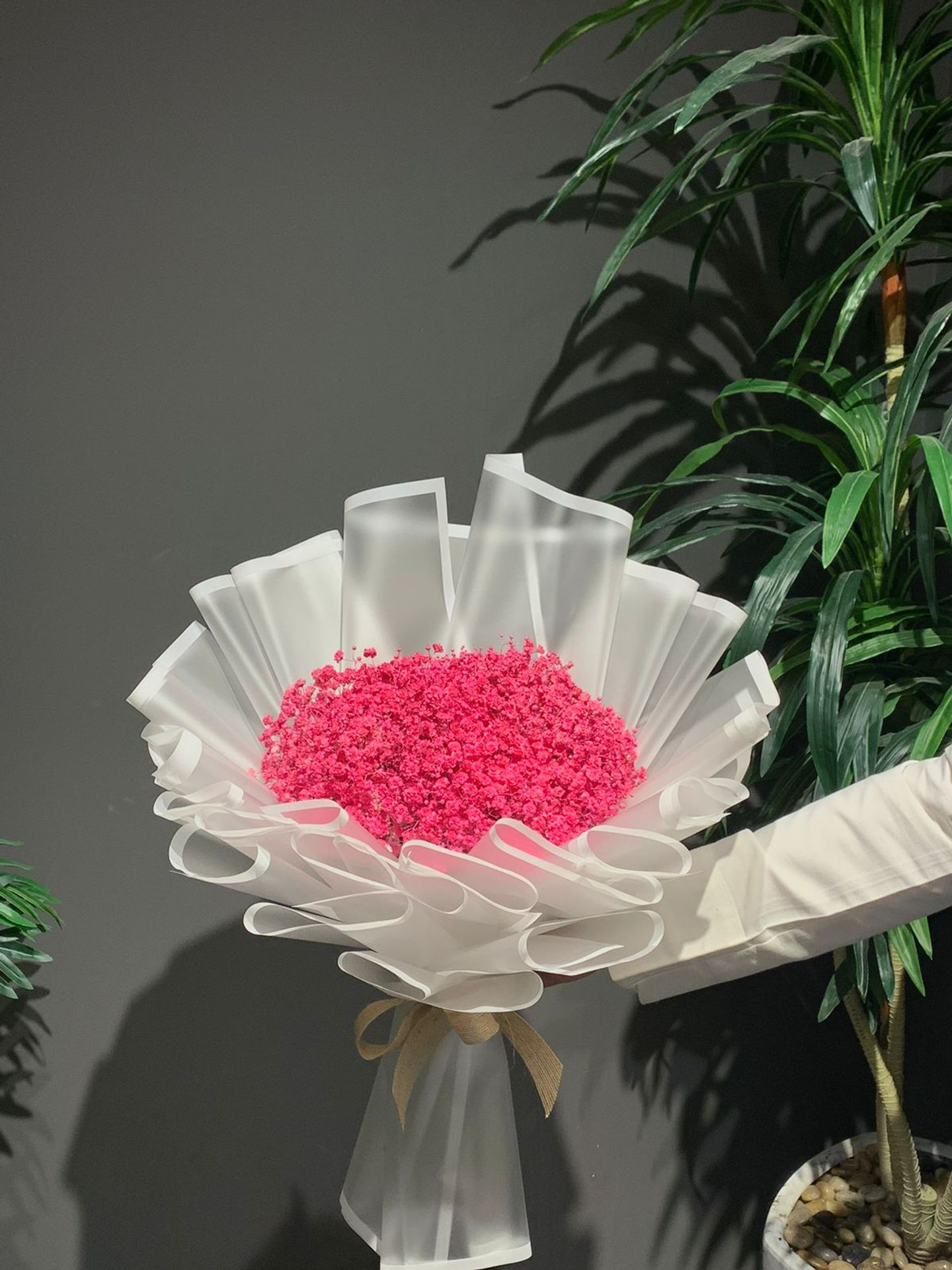 Pink Gypsum
