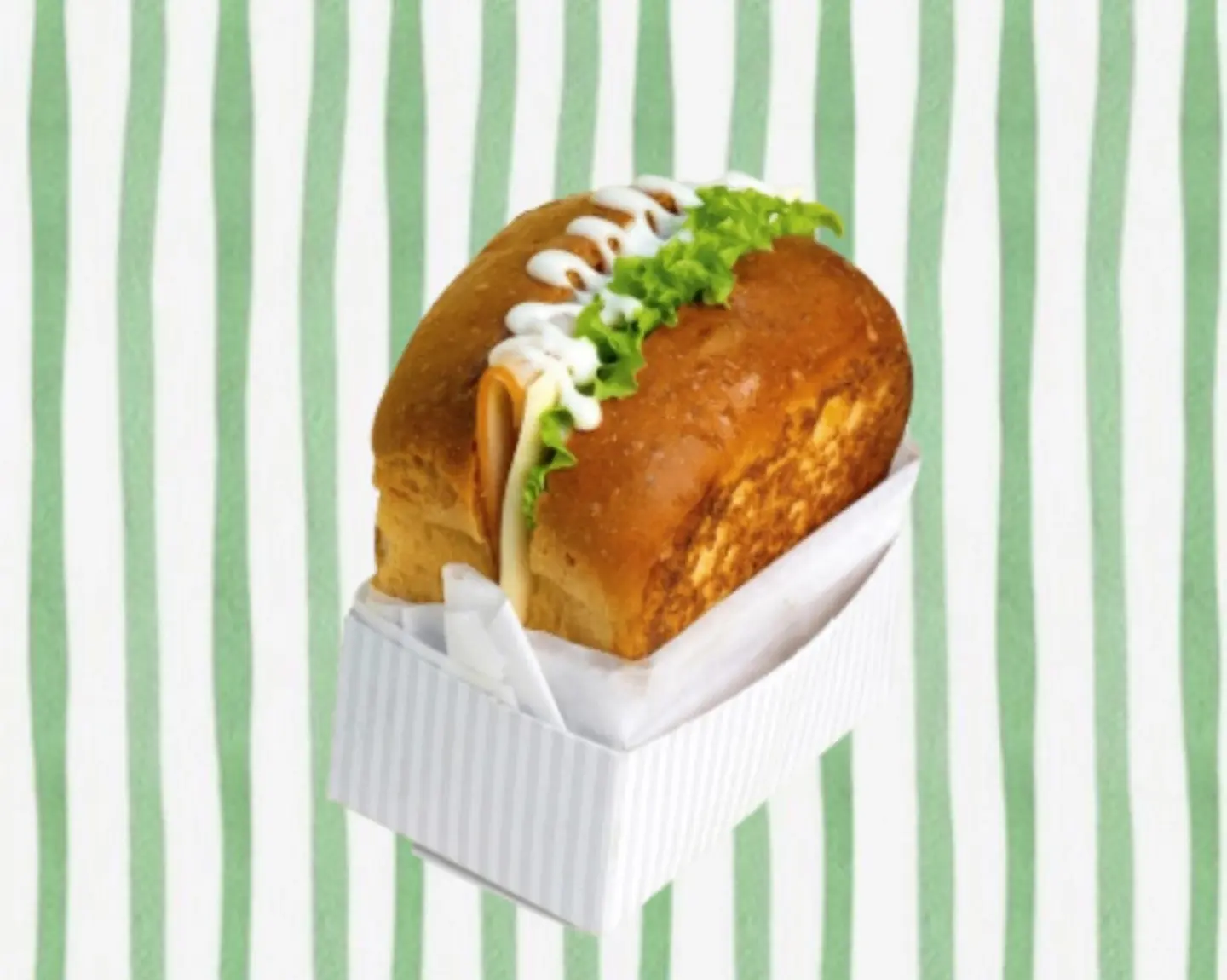 ساندوتش الديك الرومي