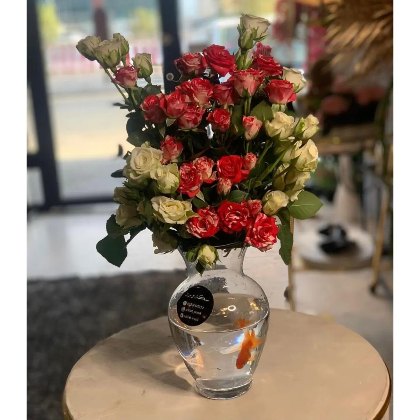 فازة سمك بيبي روز