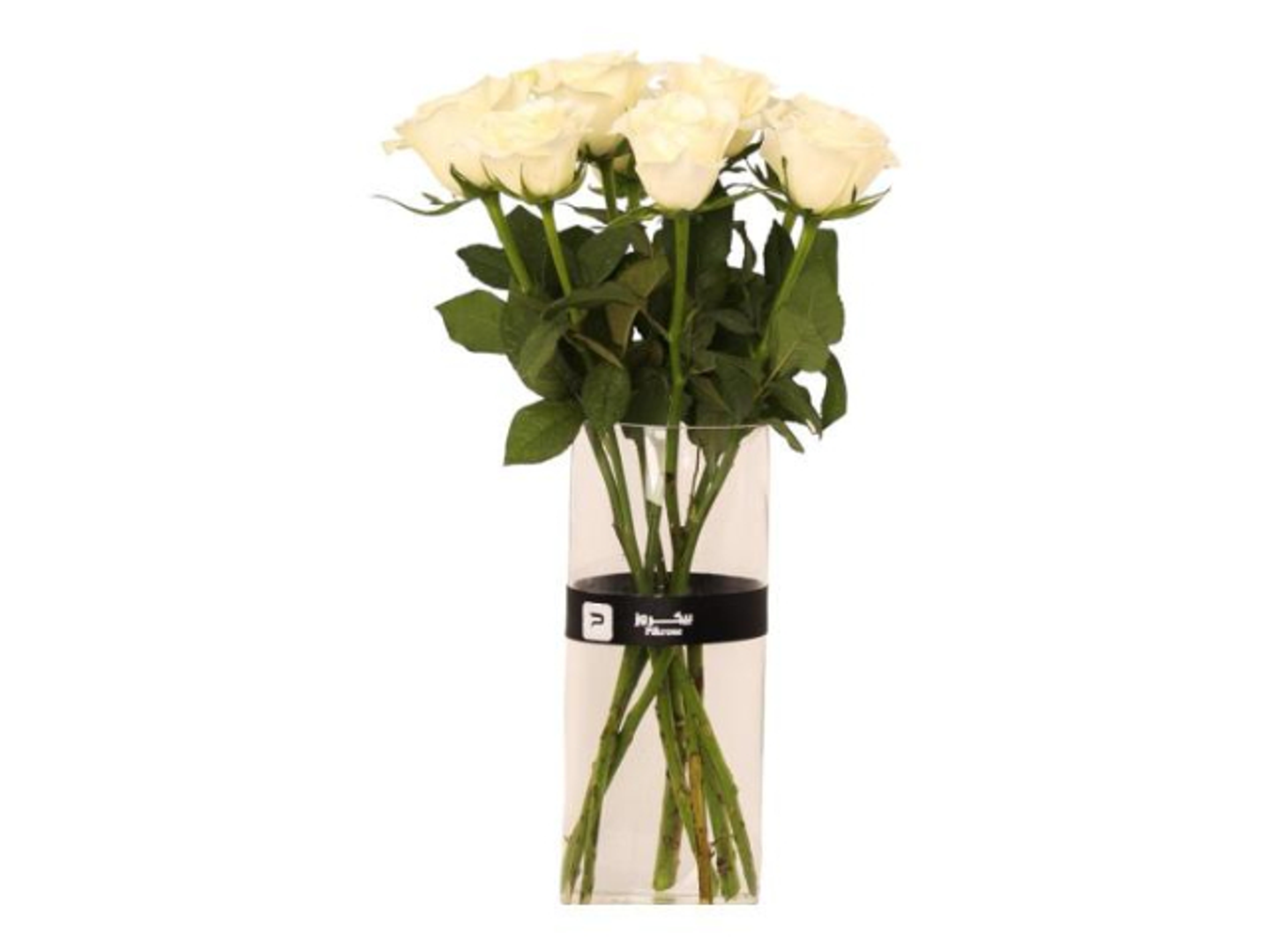 White Rose Vase