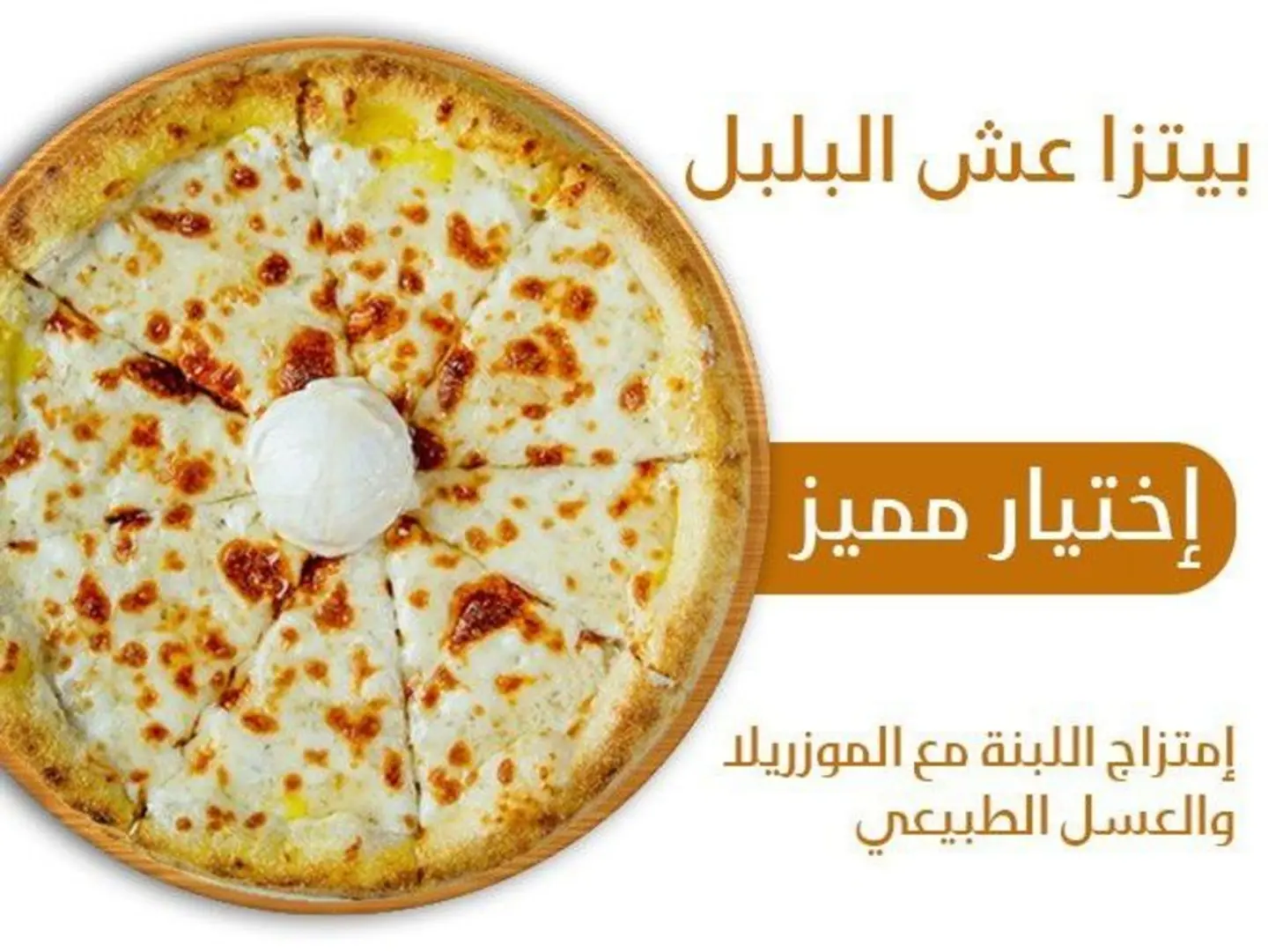 Small Ash Albulbul With Honey