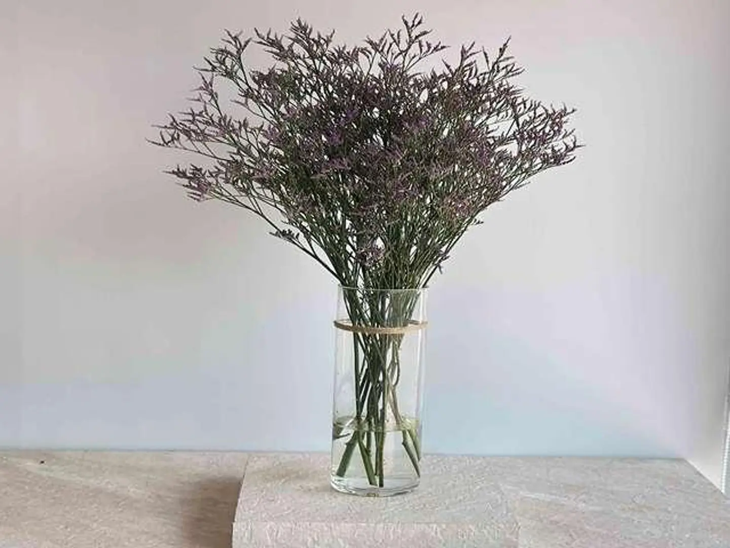 لمسة الأرجواني