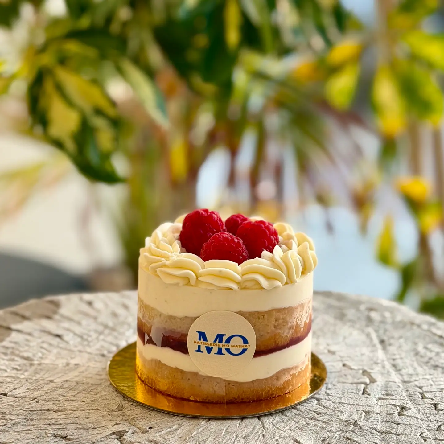 Red Berries Cake