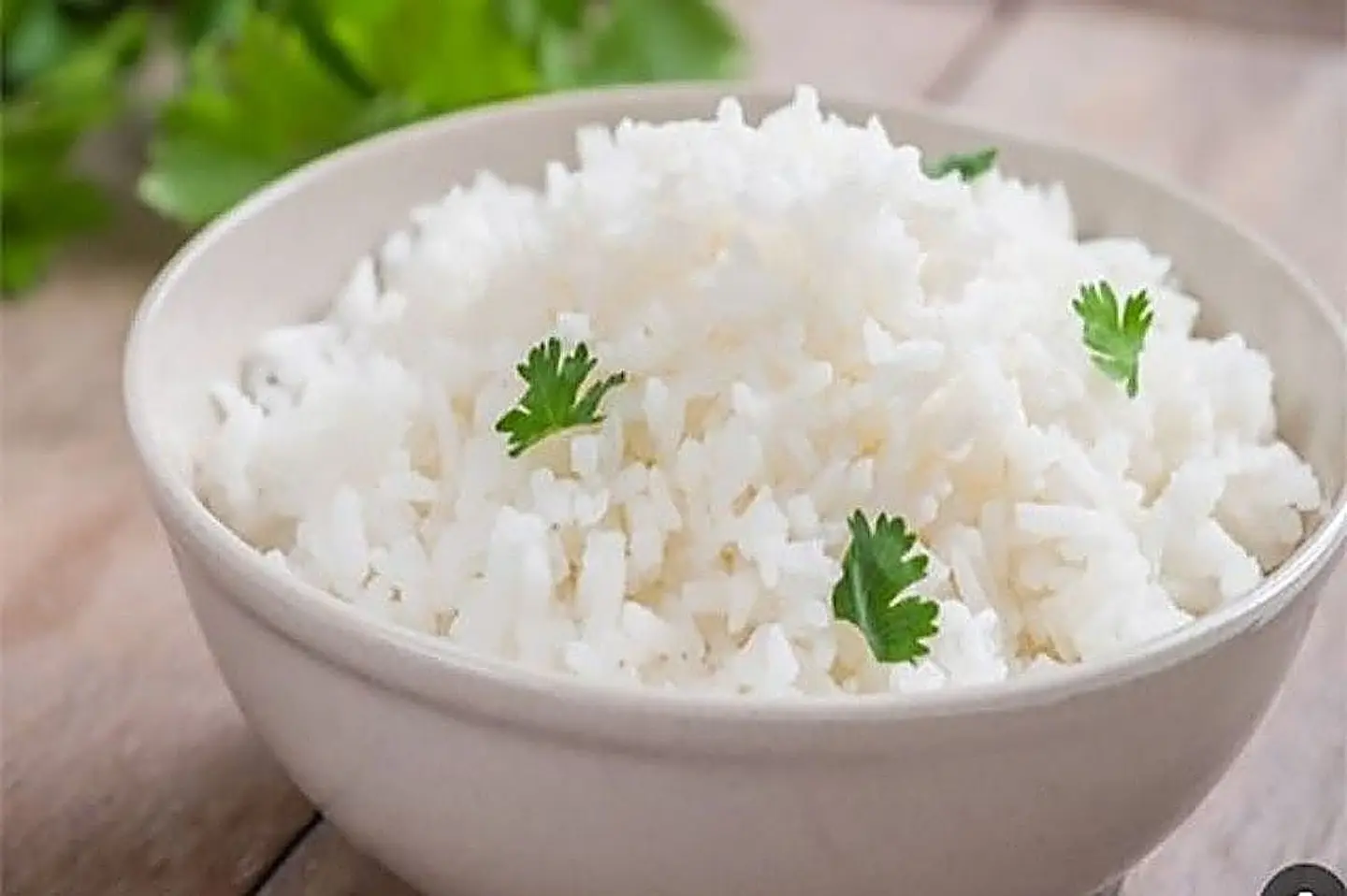 Rice