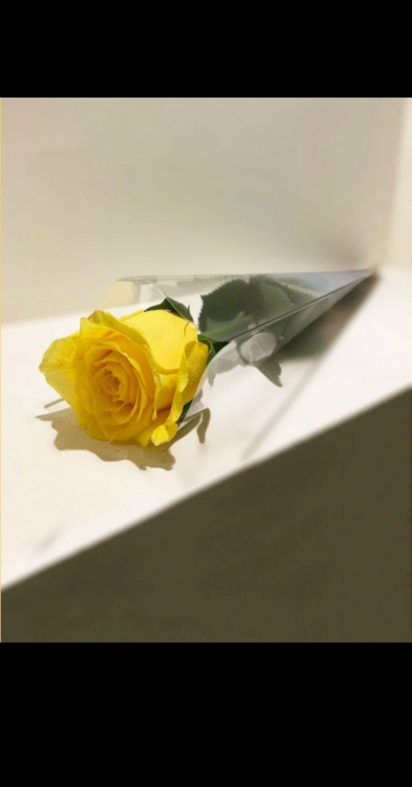 ورد أصفر حبة