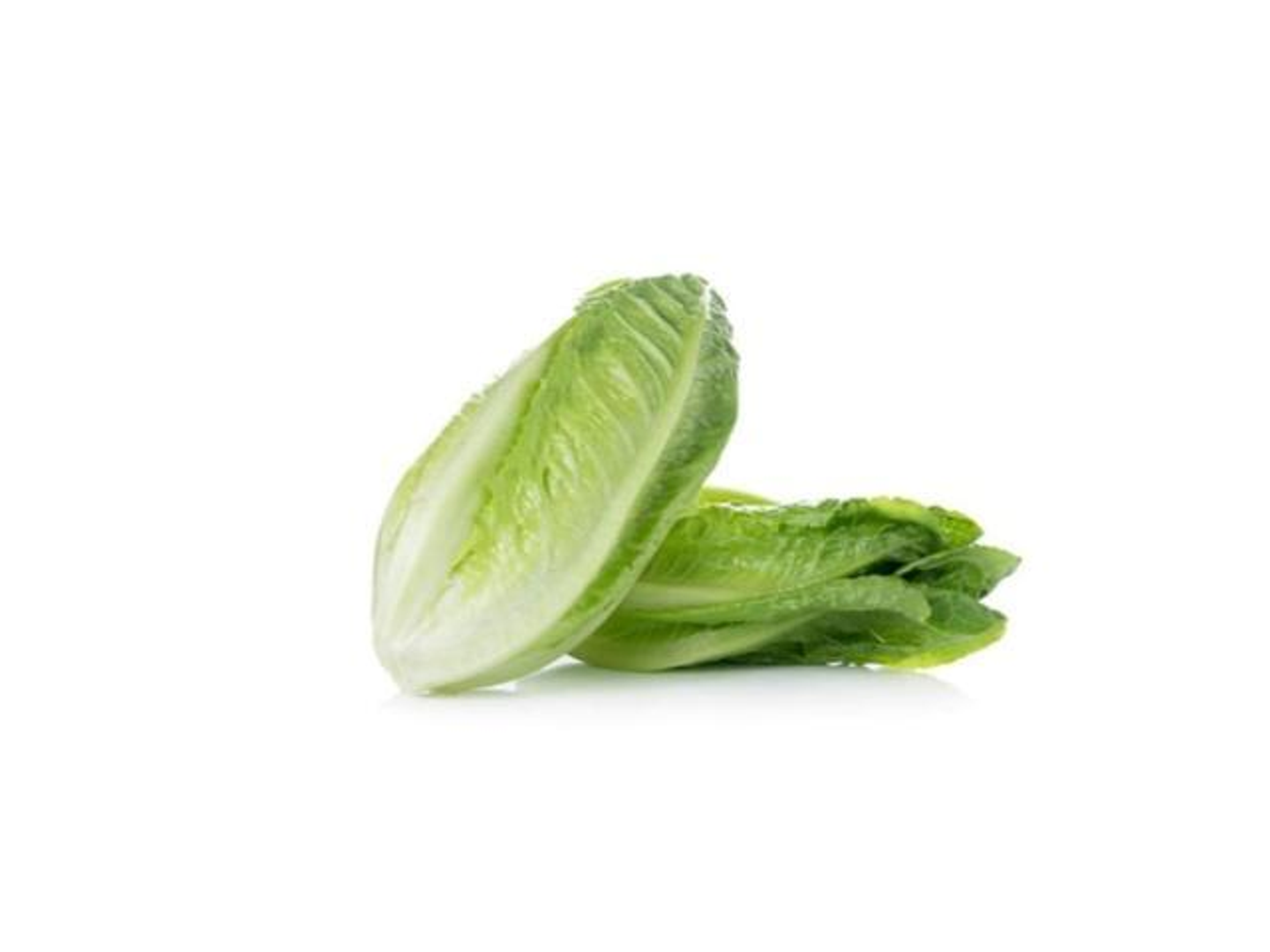 Lettuce 1 Kg