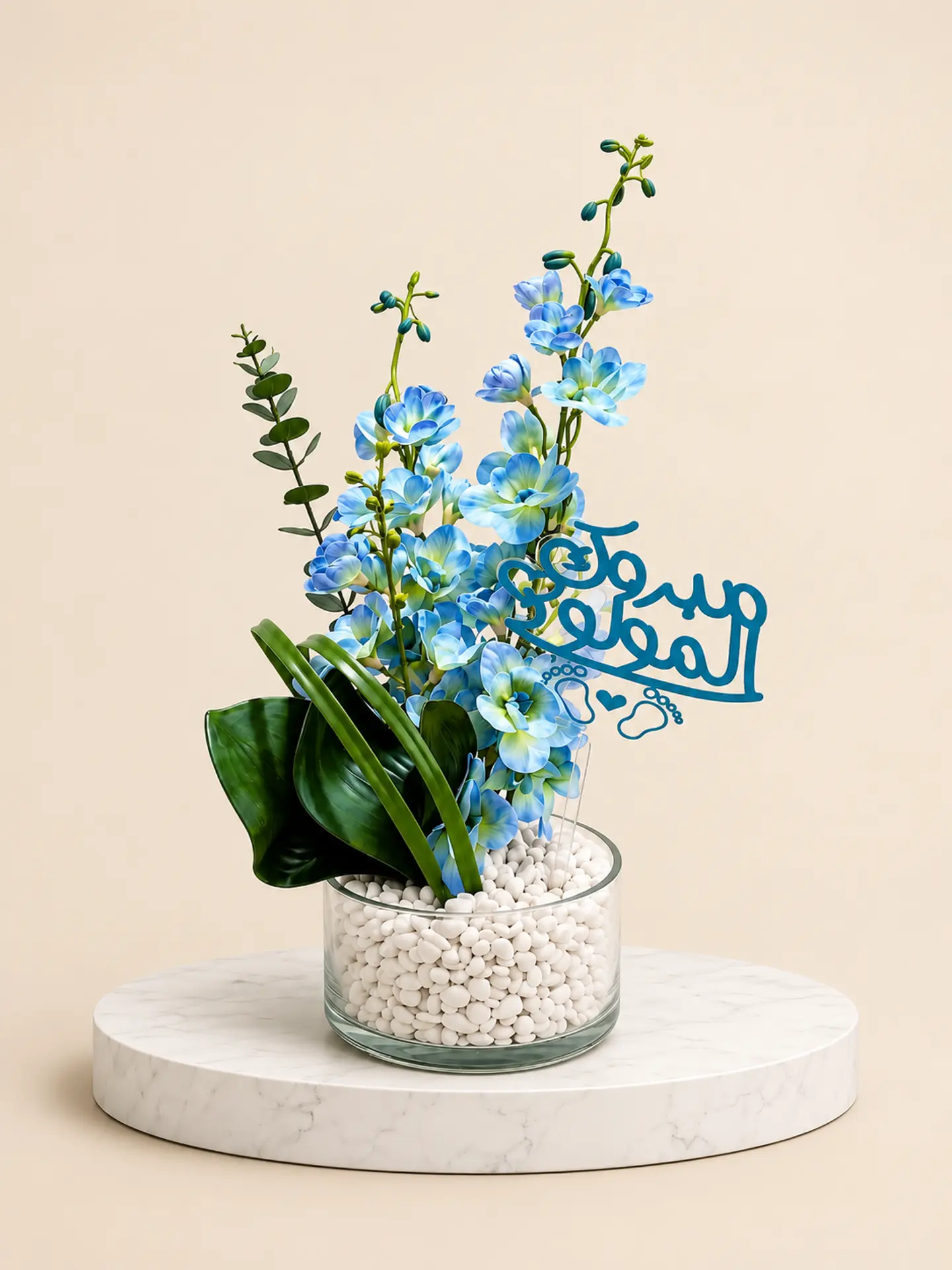 فازة نسيم المولود