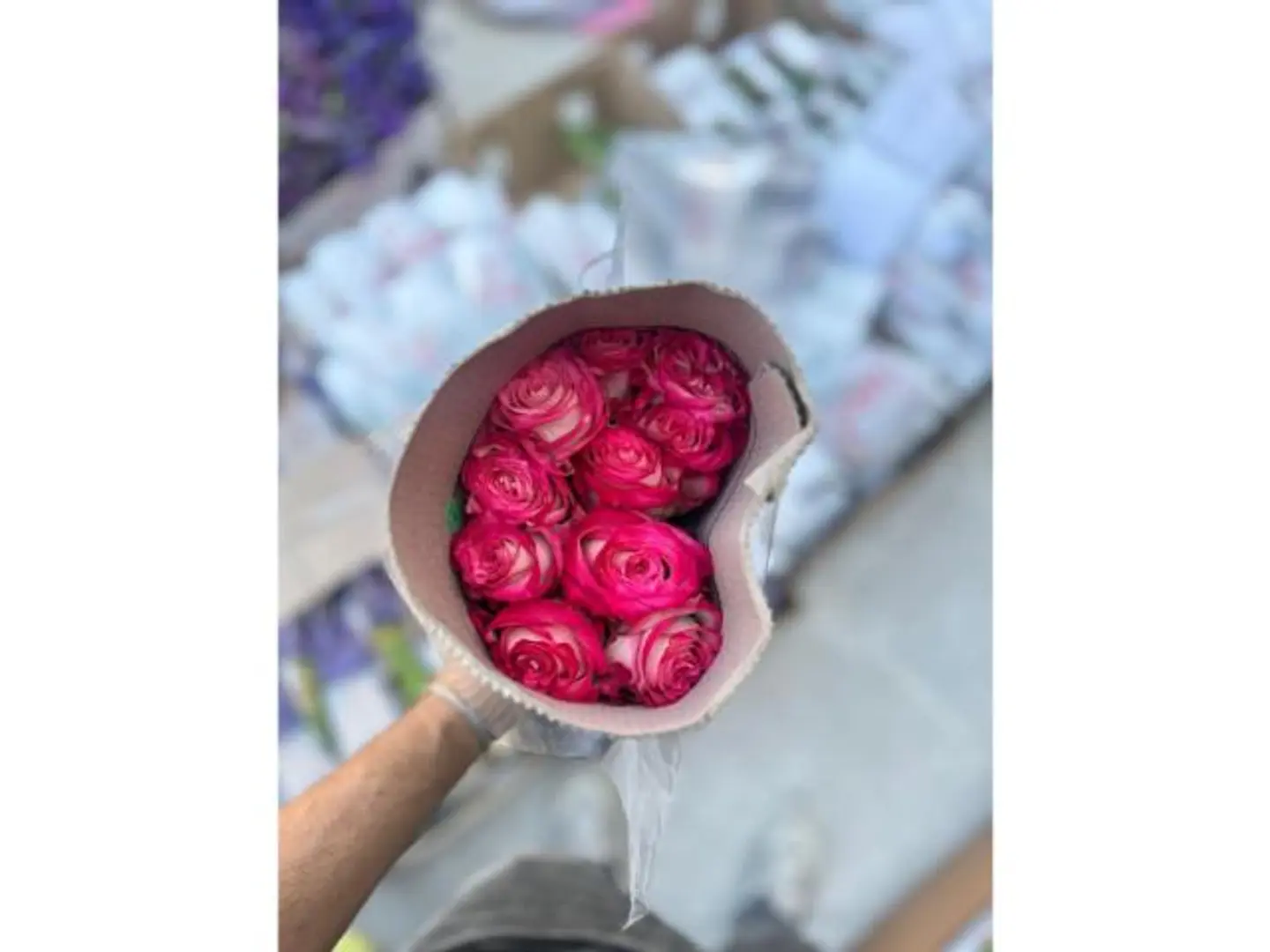 ربطة جوري دبل كالر وردي