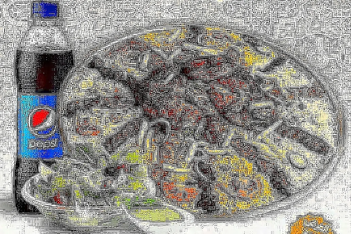 تشبعك وتمتعك فيروزة العائلي