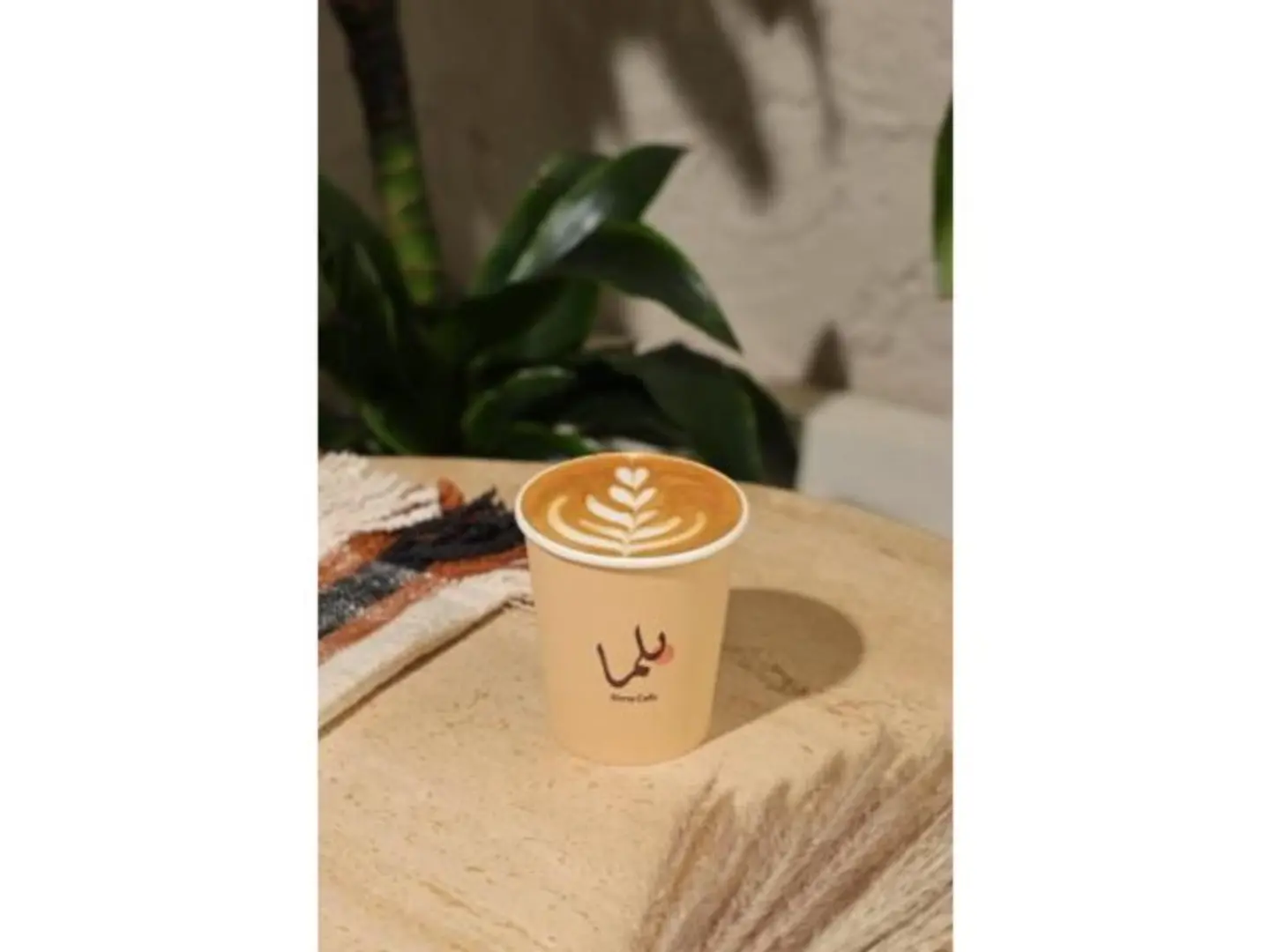 فلات وايت